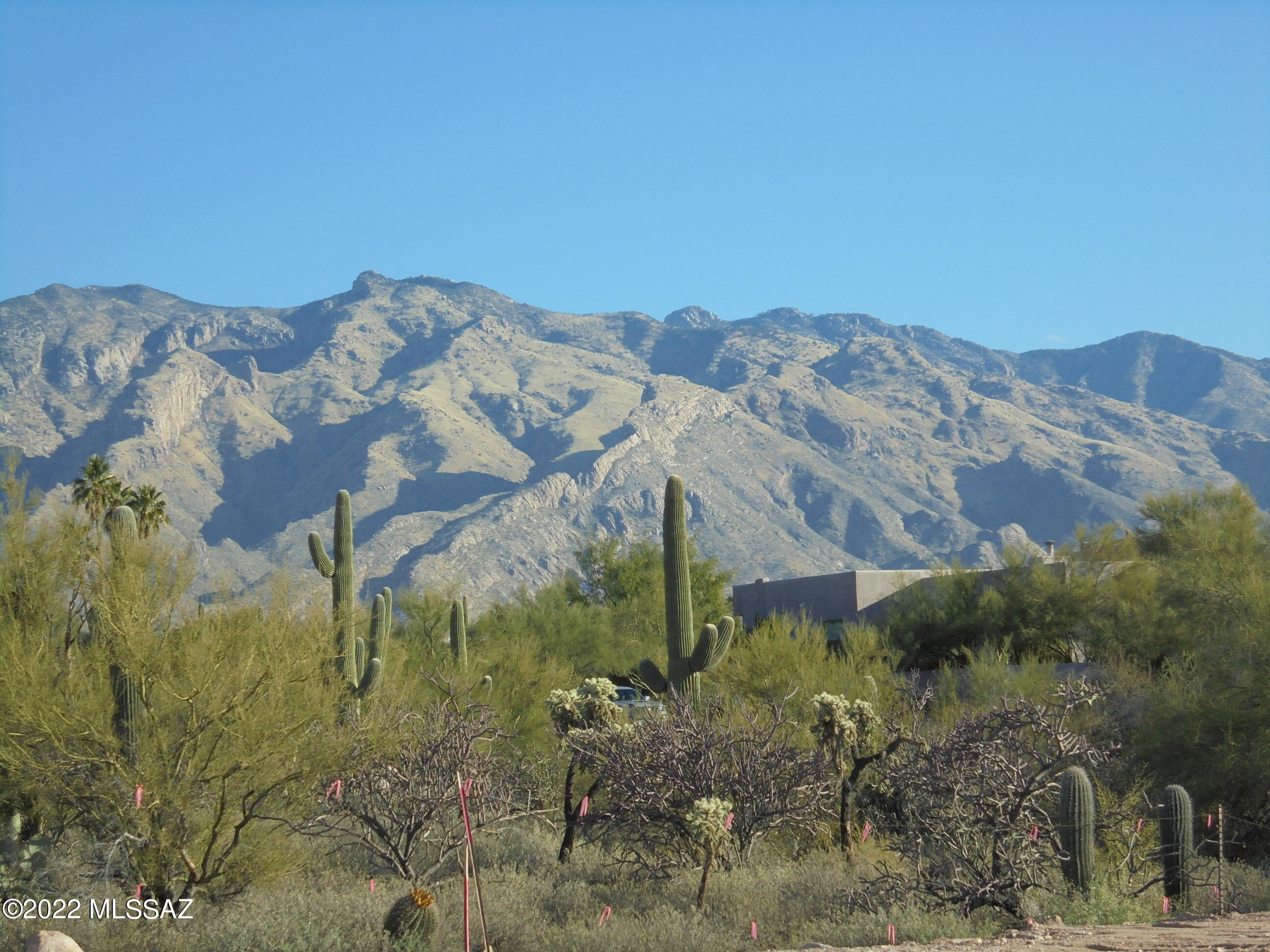 Catalina Foothills Estates - Land