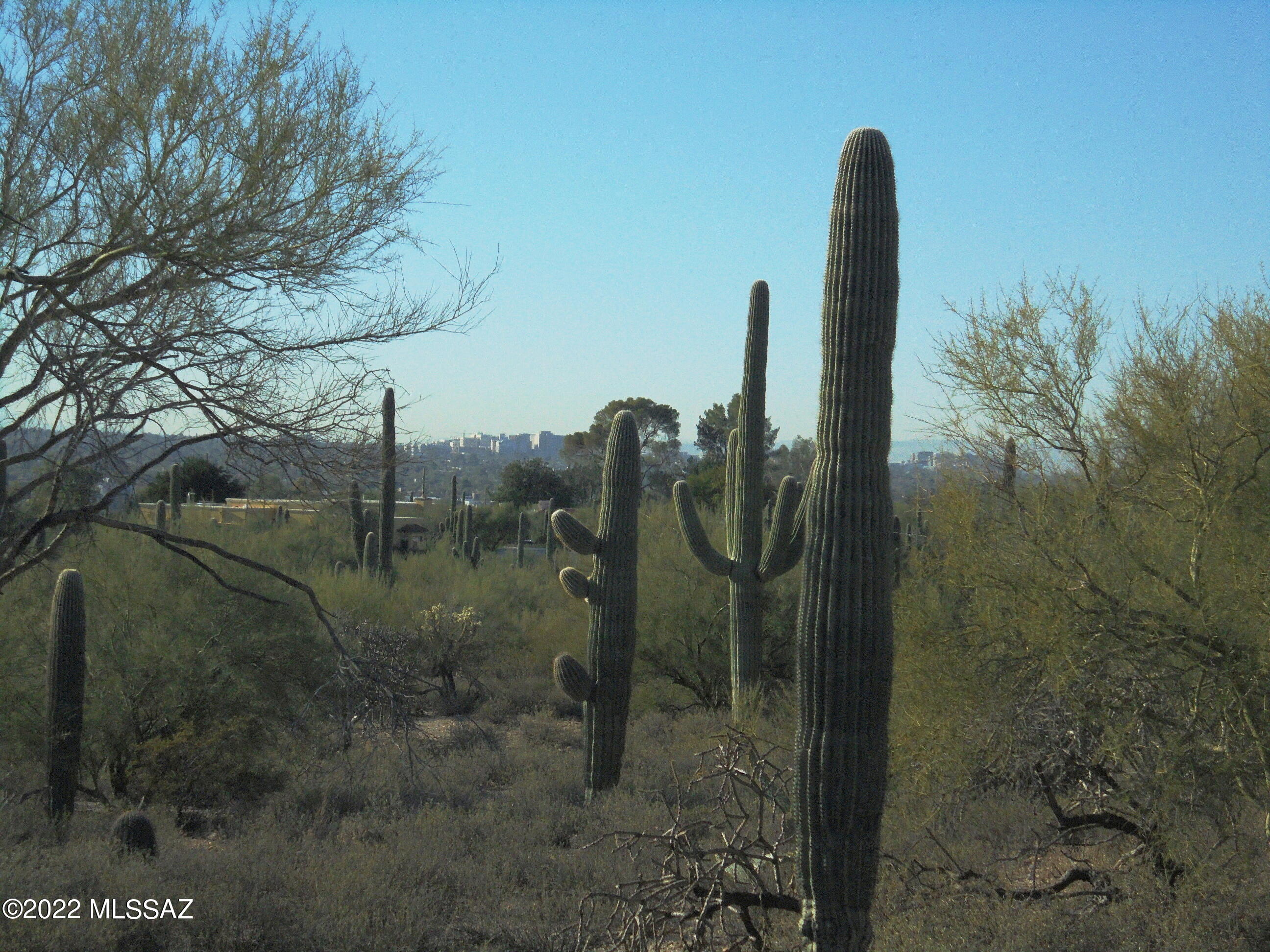 Catalina Foothills Estates - Land