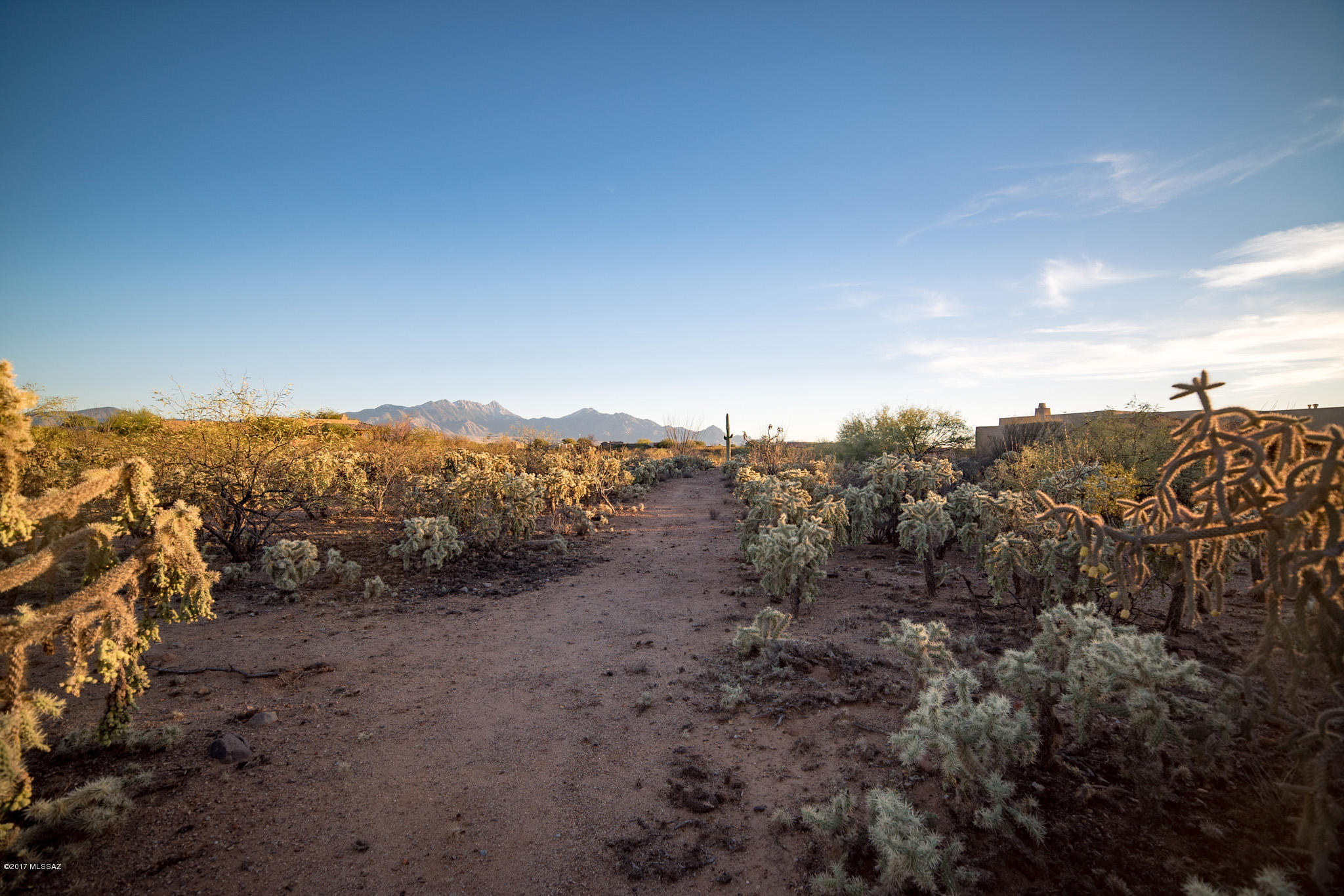 Madera Reserve Phase II (131-263) - Land
