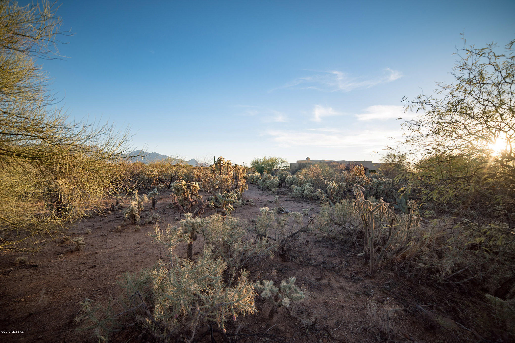 Madera Reserve Phase II (131-263) - Land