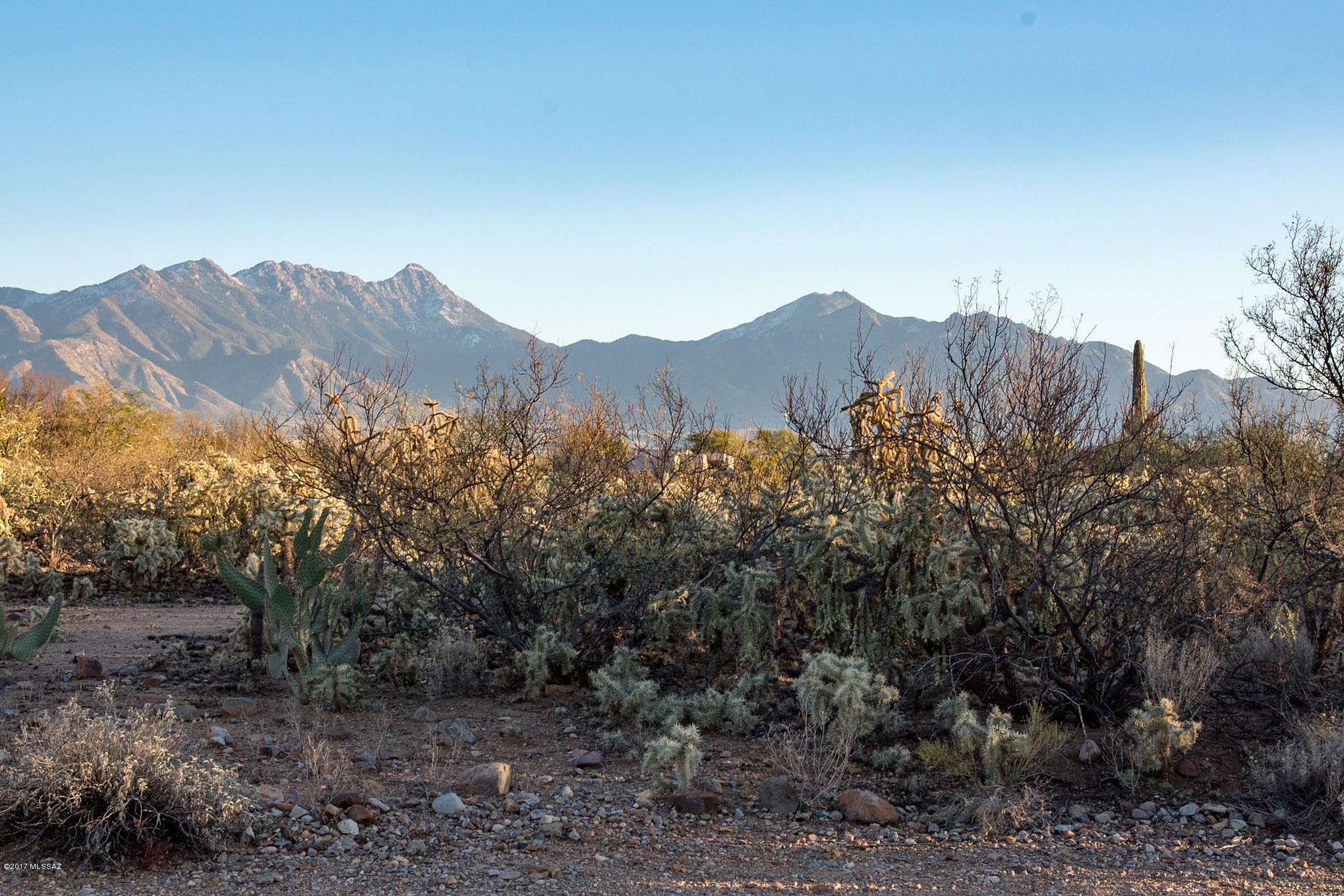 Madera Reserve Phase II (131-263) - Land