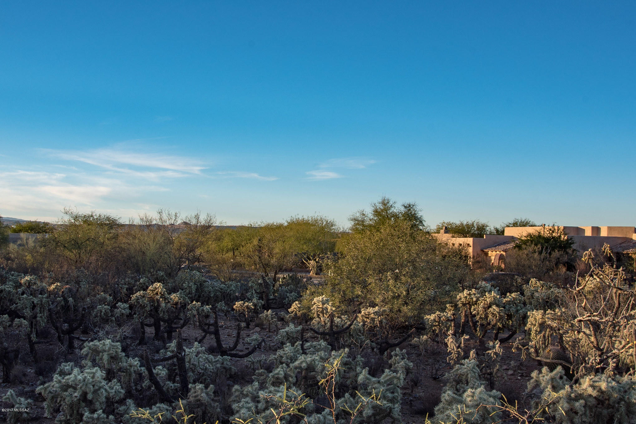 Madera Reserve Phase II (131-263) - Land