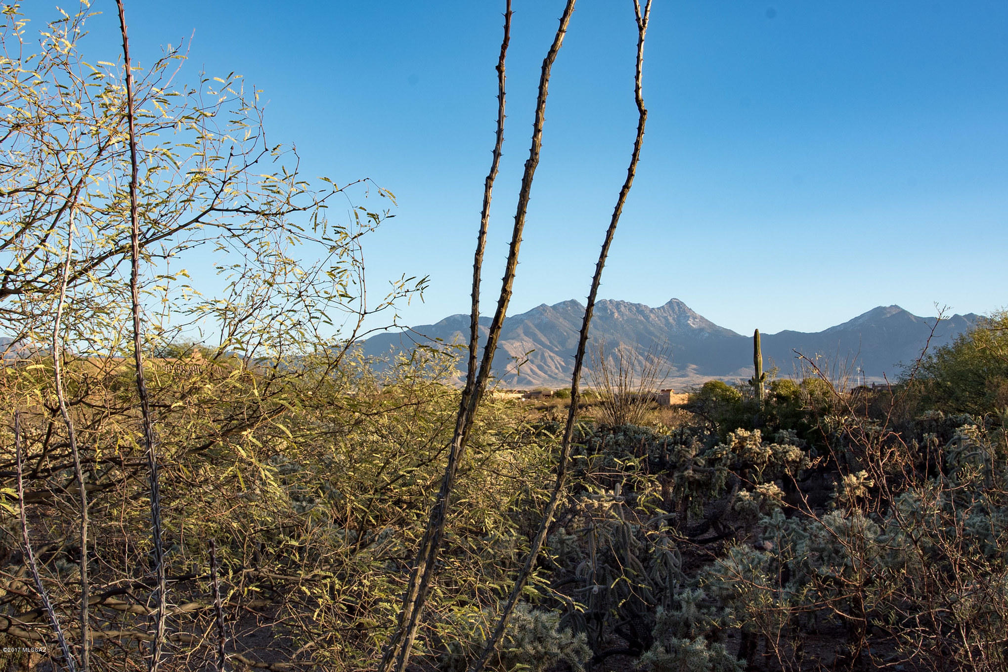 Madera Reserve Phase II (131-263) - Land