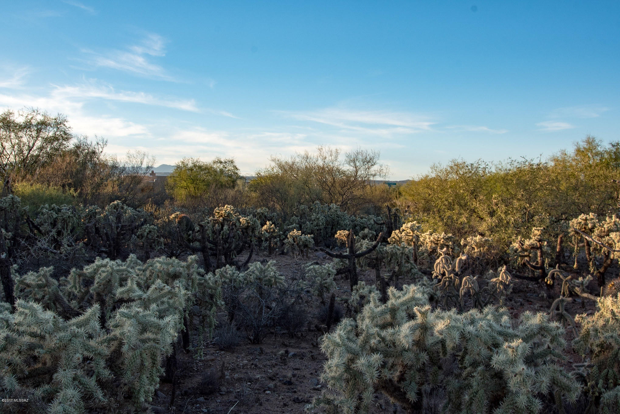 Madera Reserve Phase II (131-263) - Land