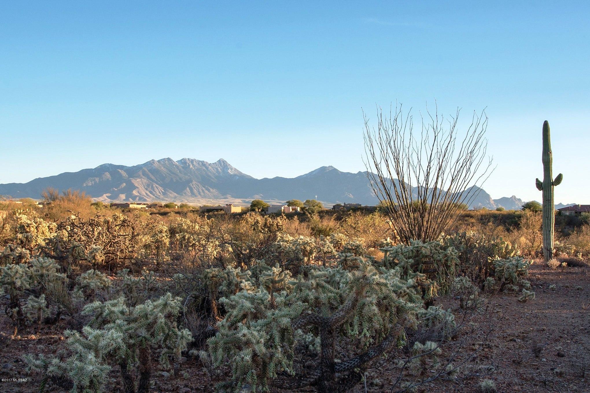 Madera Reserve Phase II (131-263) - Land