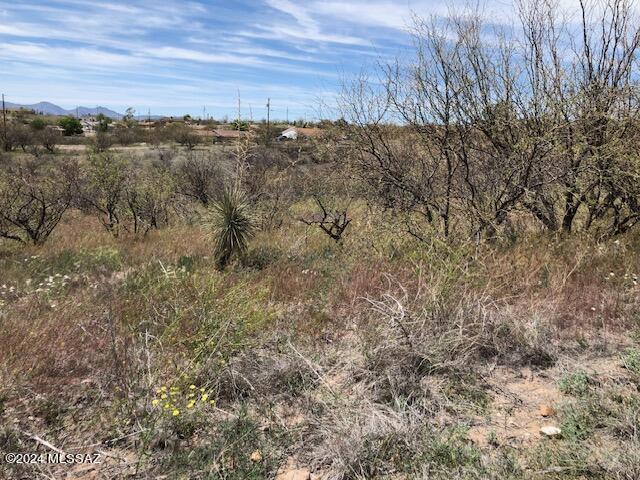 Rio Rico Ranchettes 12 - Land