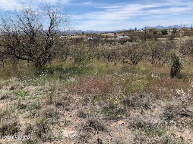 Nice residential lot on East side of Rio Rico.  Lots of homes in the area.  Electric poles at the street.  Homes in both directions so a water main should be in the street but up to the Buyer to determine availability and cost of water service.