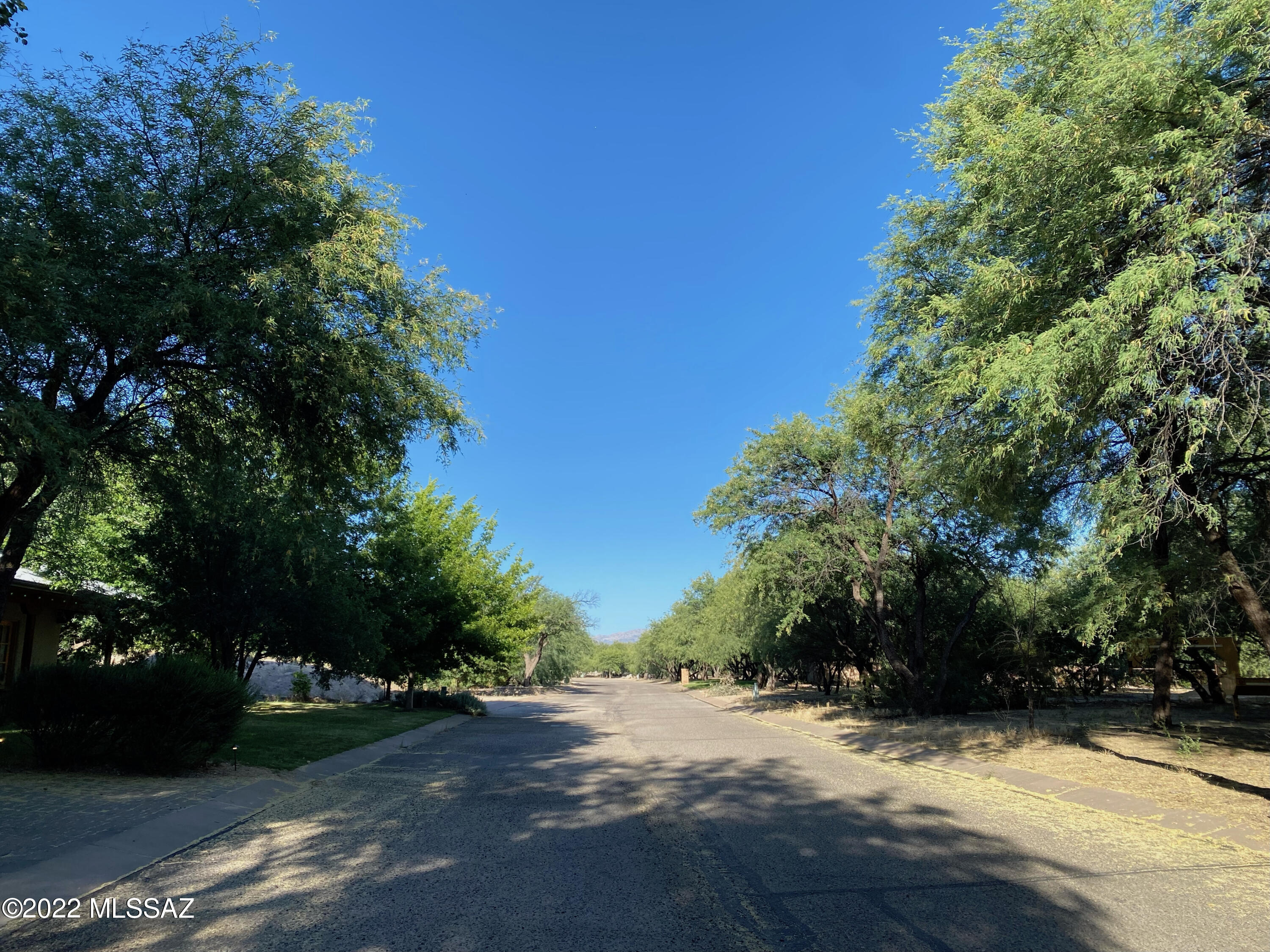 River Forest (1-20) - Land