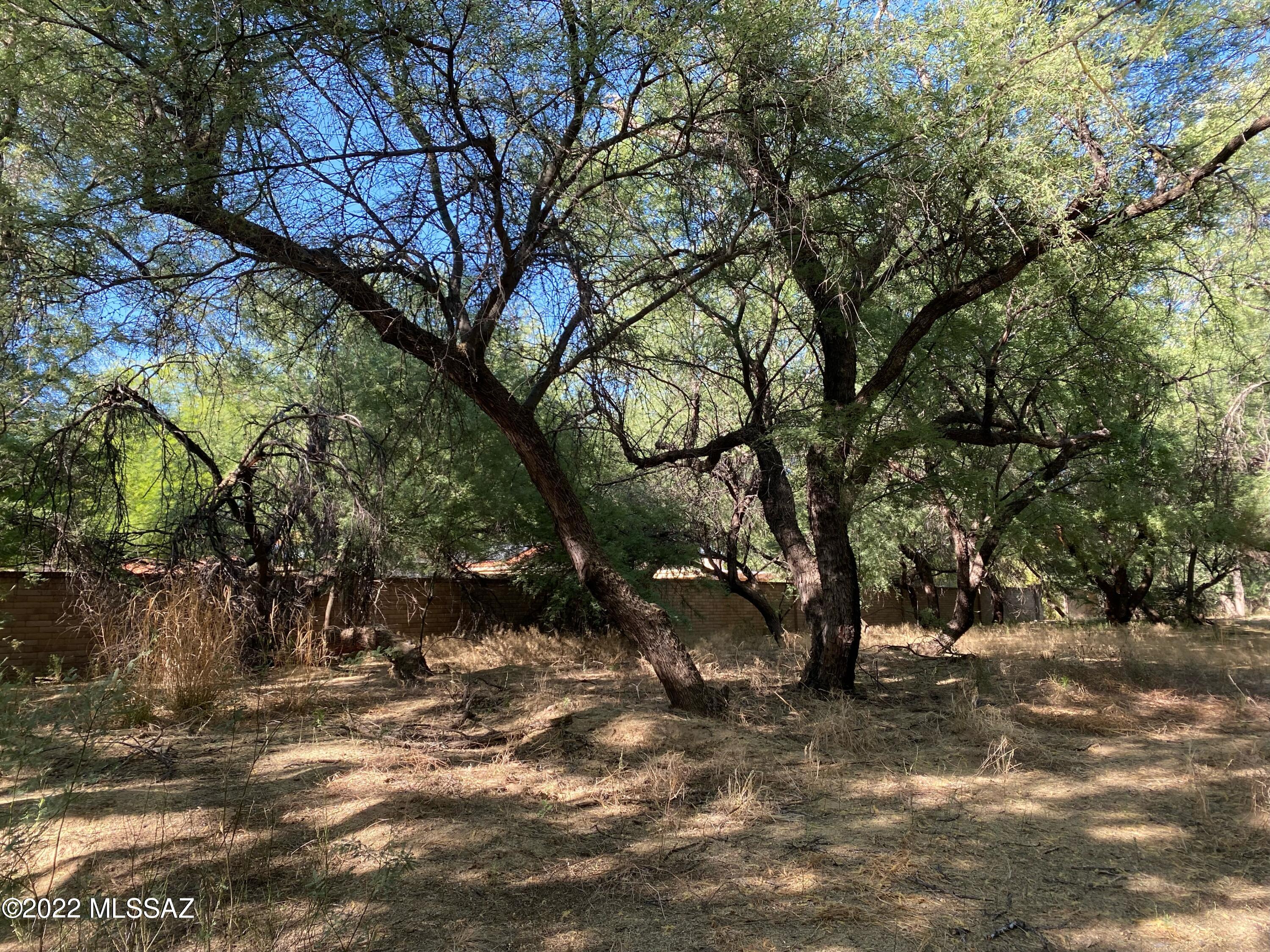 Come see this stunning home site located in the secluded and cozy private estate community of River Forest. With only 20 lots, this exclusive enclave has the best of both worlds, providing a beautiful get-away from the busy city life while staying within a 5 minute driving distance from all that the north-east side of Tucson has to offer. Now is your chance to purchase a dream home site in this refreshing mesquite environment. This community is also adjacent to the popular river walk at the confluence of Sabino Creek and Tanque Verde Creek, which adds to the refreshing environment.

This property is available to purchase along with the contiguous lot 10, the properties are available to purchase for a combined price of $240,000.