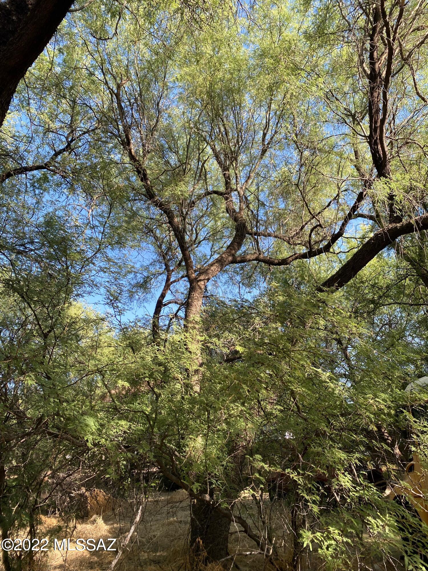River Forest (1-20) - Land