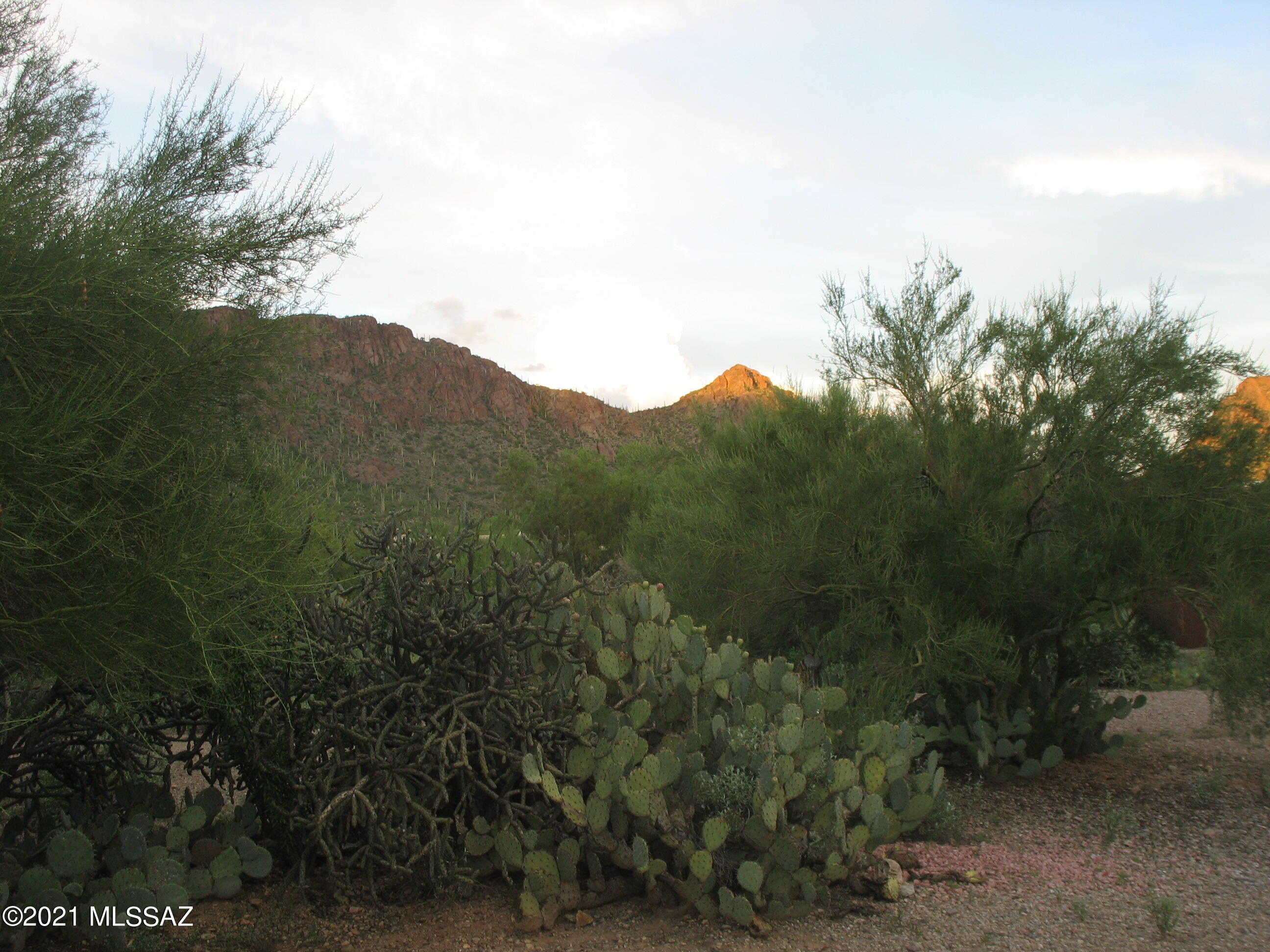 Tucson Estates NO. 2 (1-560) - Land
