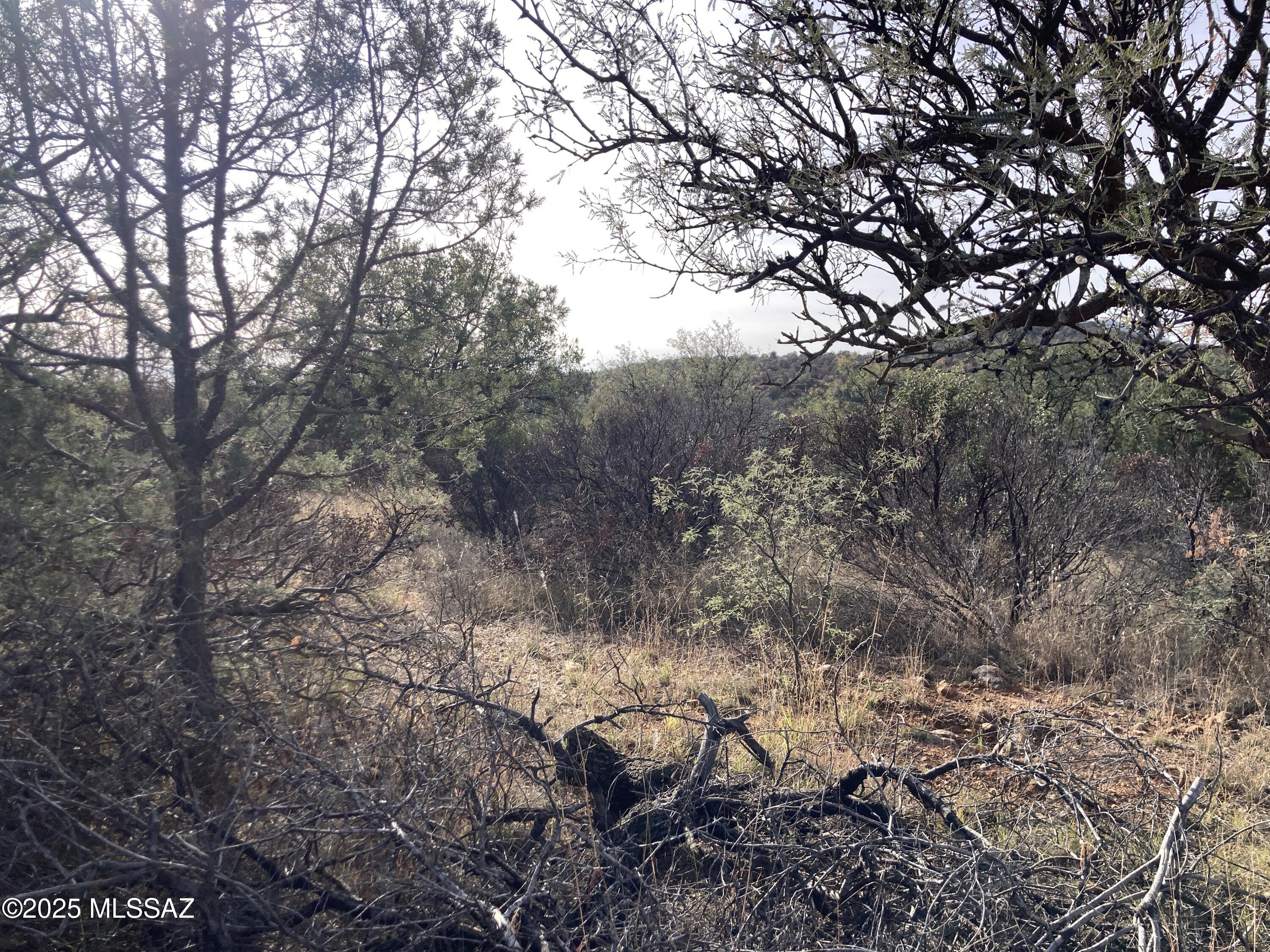 Two parcels - 105-63-102E & H - total 13.8 acres in rural Patagonia - adjacent to Coronado National Park -  Beautiful hills in the Patagonia Mountains - In the Duquesne area above the San Rafael Valley .  views, not totally off grid. - some neighbors and electric in the area