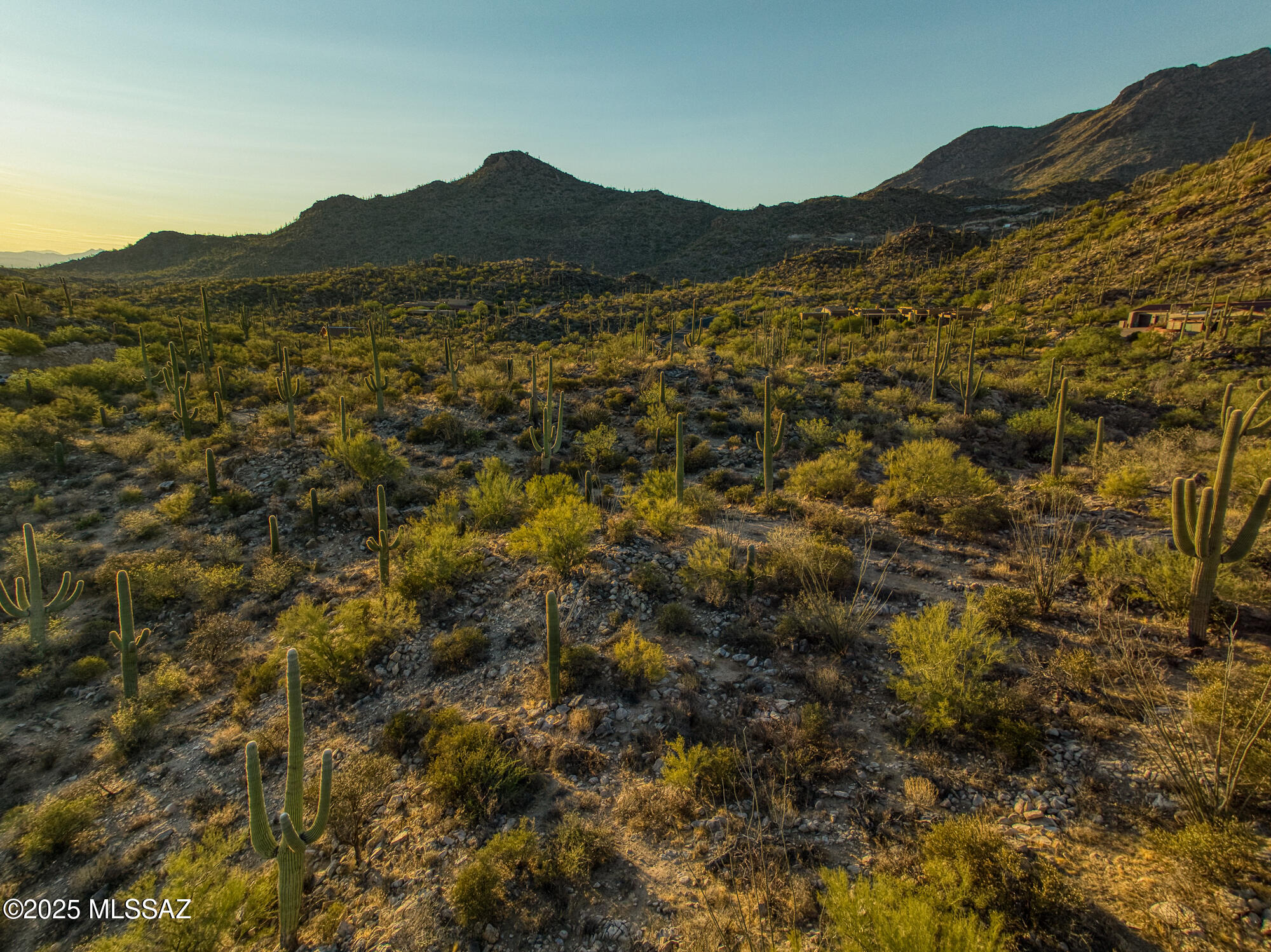 Canyon Pass II At Dove Mountain (49-110) - Land