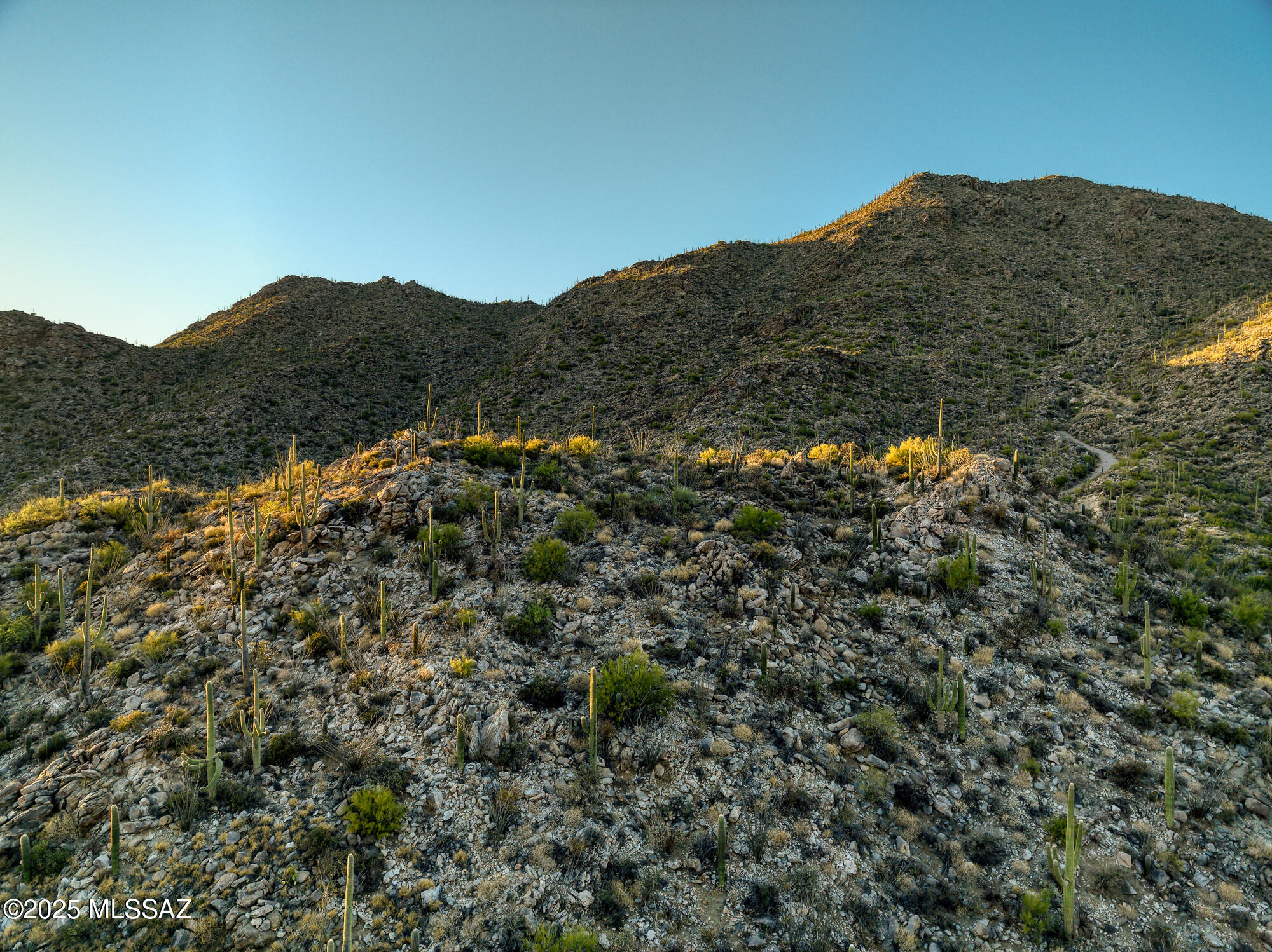 Canyon Pass II At Dove Mountain (49-110) - Land
