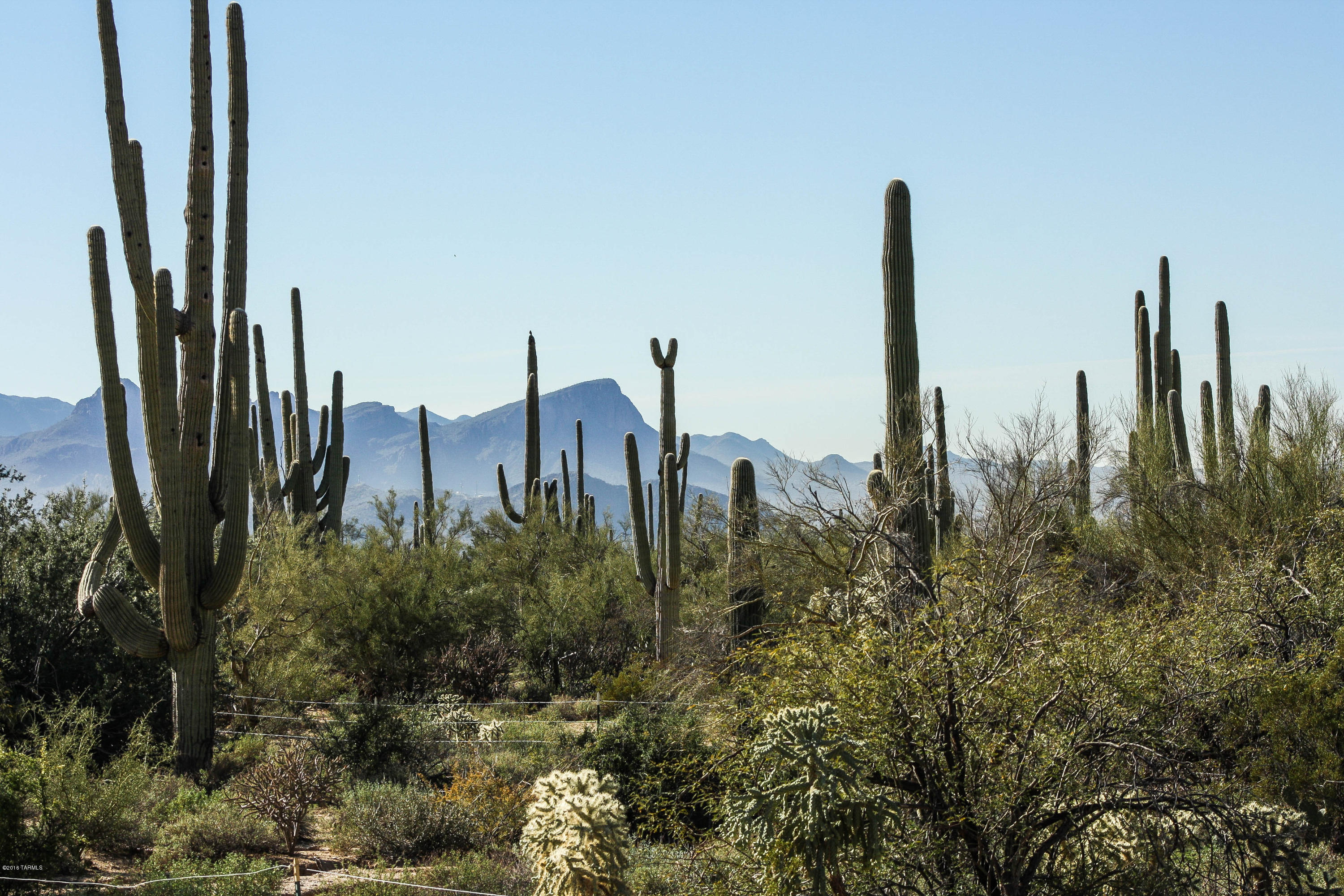 Golden Barrel Place At Dove Mountain SQ20141710079 - Residential