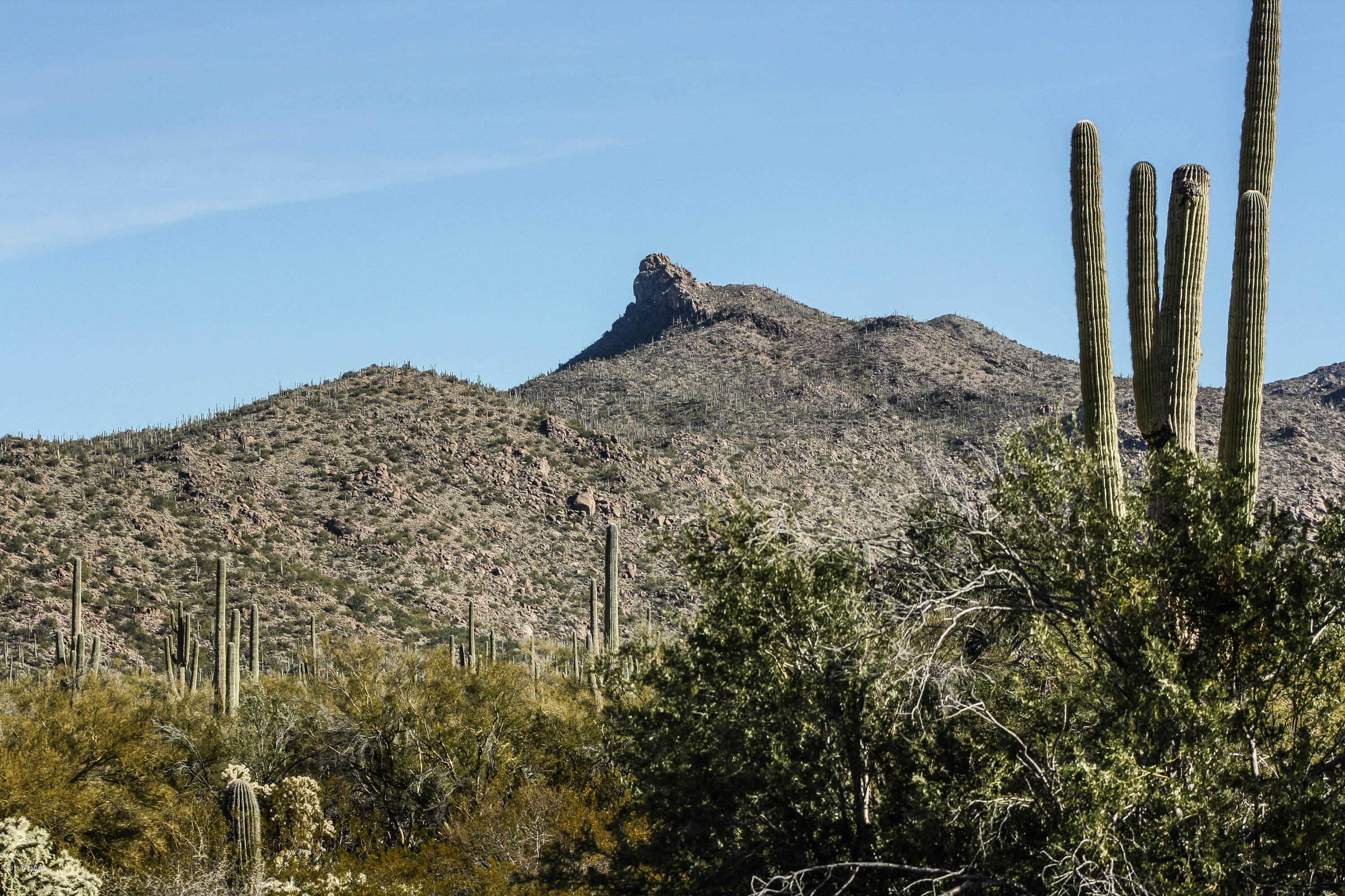 Golden Barrel Place At Dove Mountain SQ20141710079 - Residential