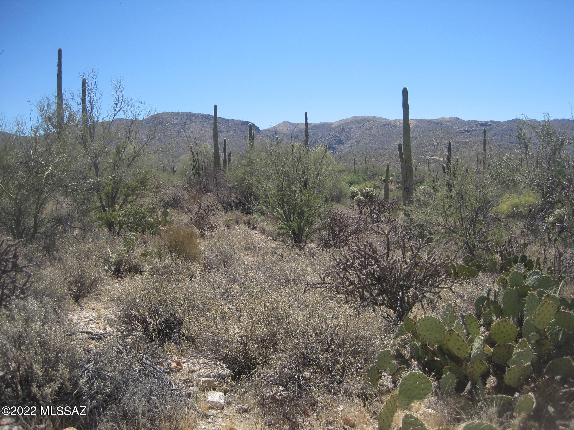 Breath taking majestic,  Saguaro giants. One of the last large parcels. Private secluded and easy access. Nestled in the Tortolita Mountains.