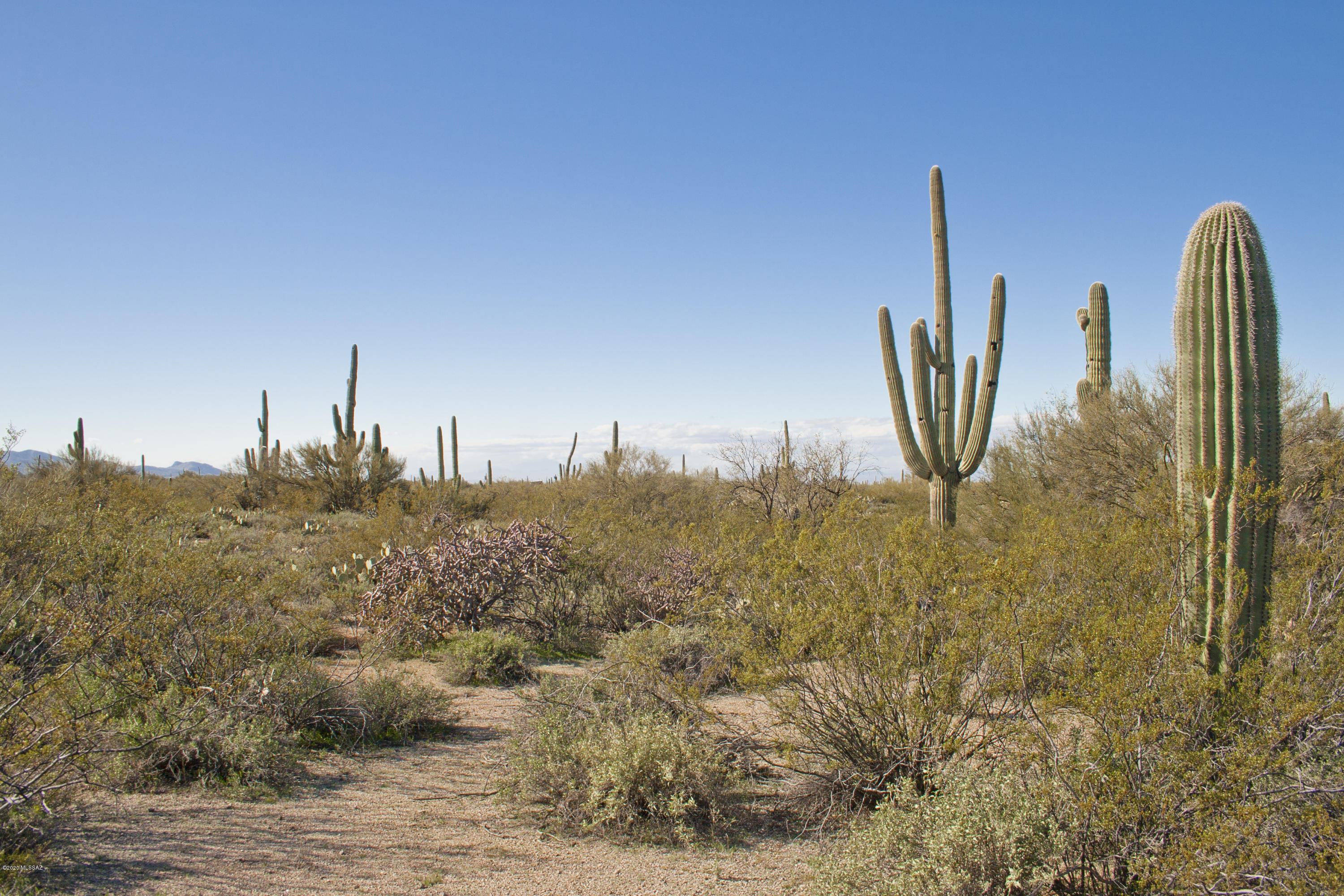 Create social distancing easily and come view this amazing 20 acre parcel that's priced to SELL! This lot is nestled between the Tortolita Mountains & Owl Head Buttes with great views of each. The property offers a relaxed lifestyle away from Tucson and can be set up with solar & water harvesting to be ''off the grid.'' Enjoy the natural beauty of the Sonoran desert with a wide variety of cactus & native plants. Build your home on-site and enjoy the peace & quiet of rural living, but with convenient access to I-10 & SR-79. Lowest priced 20 acres in the immediate area. Buyer to verify all information.