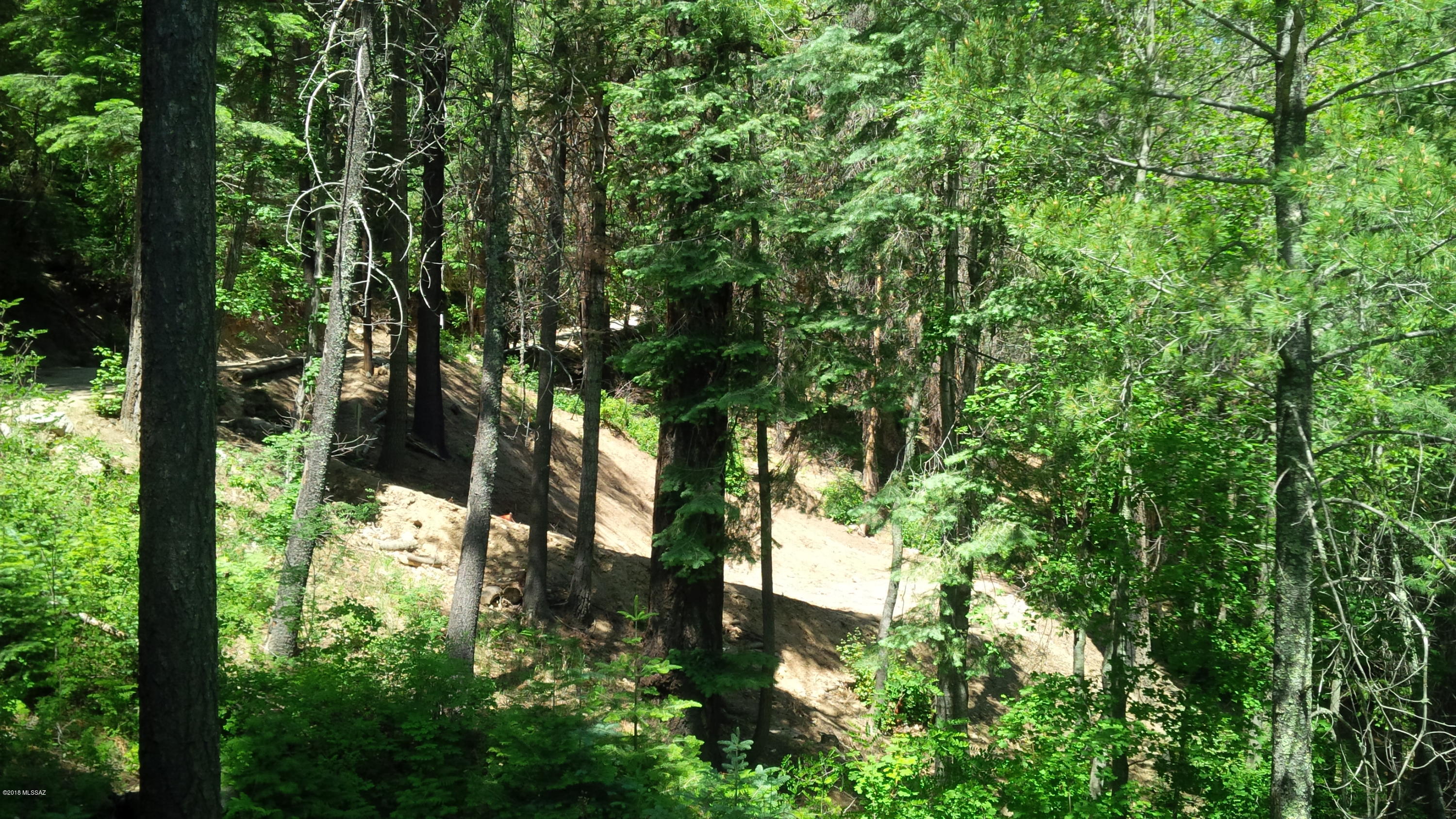 Mount Lemmon Estates #1 (1-31) - Land