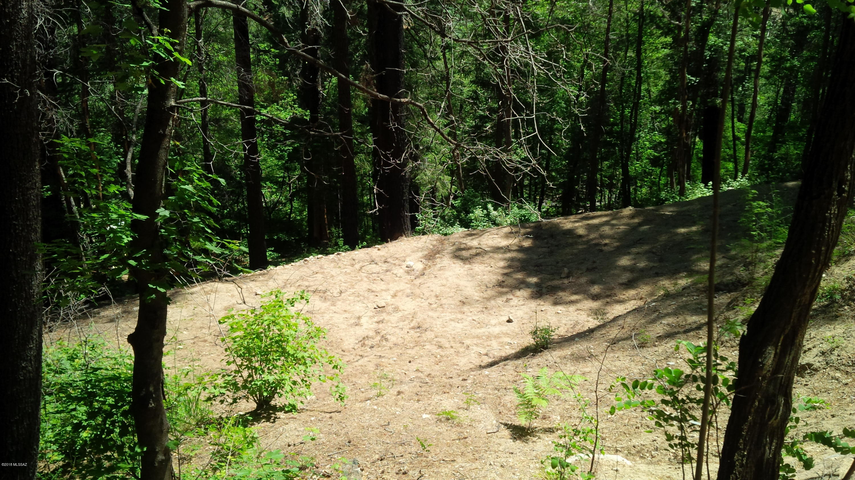 Mount Lemmon Estates #1 (1-31) - Land