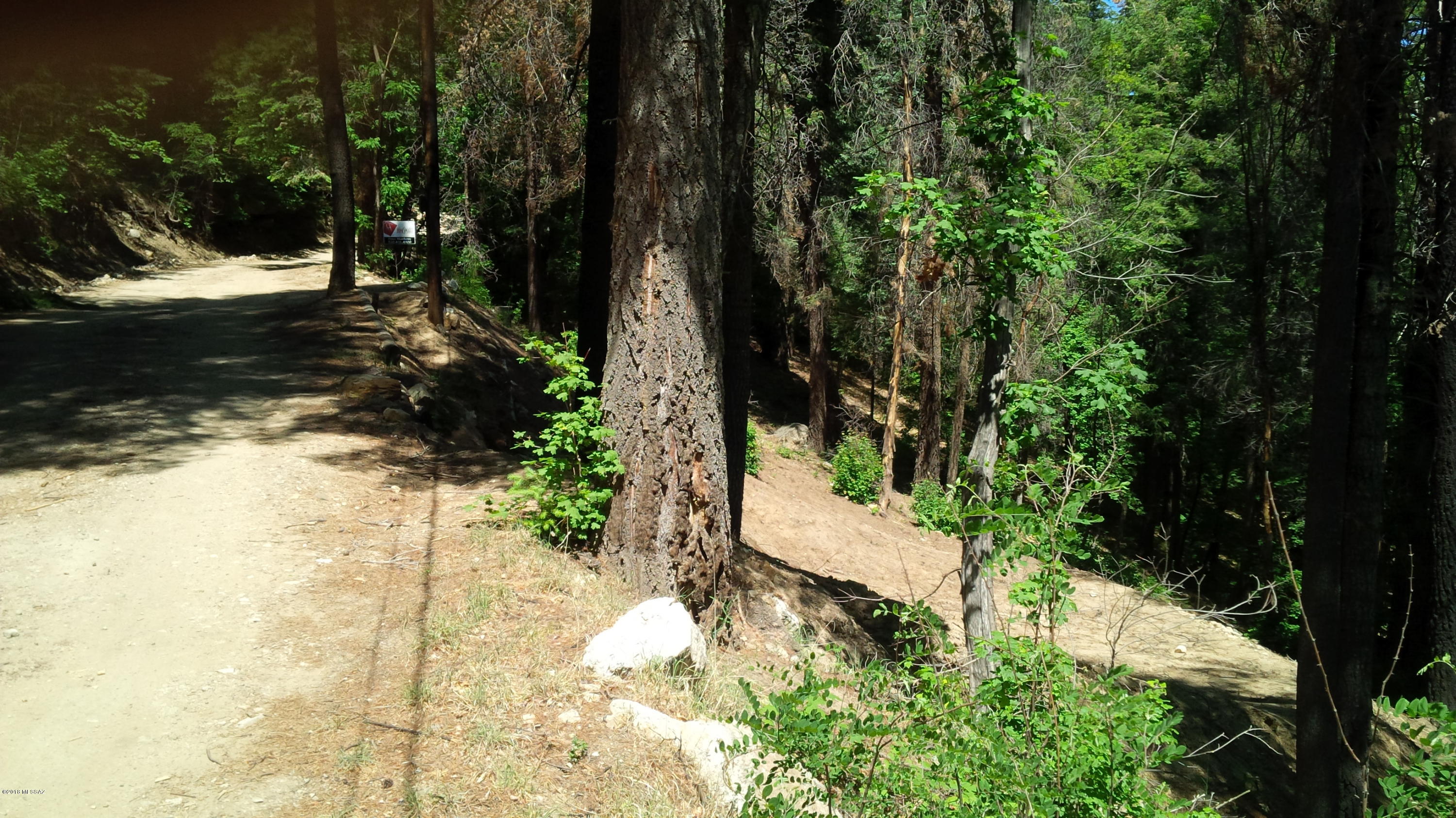 Mount Lemmon Estates #1 (1-31) - Land