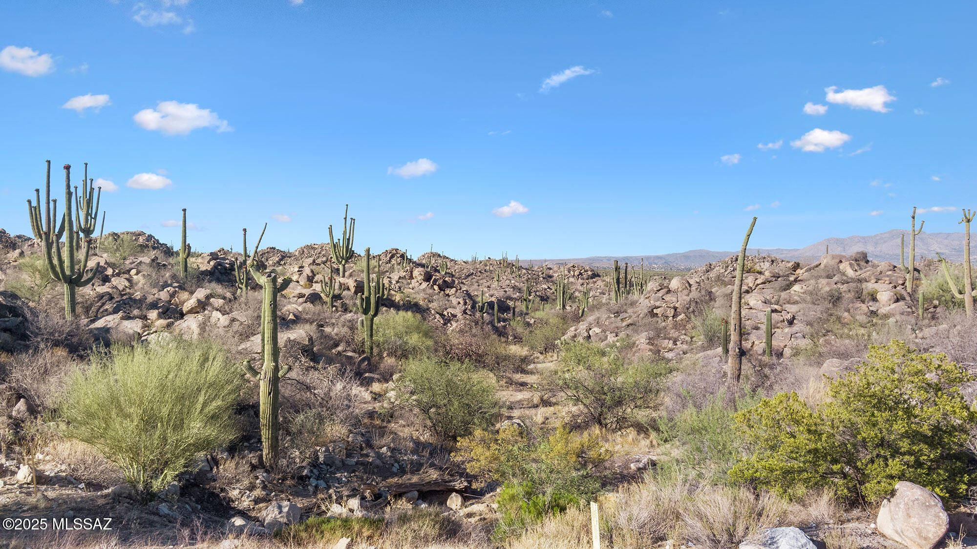 Stone Canyon VII (404-485) - Land