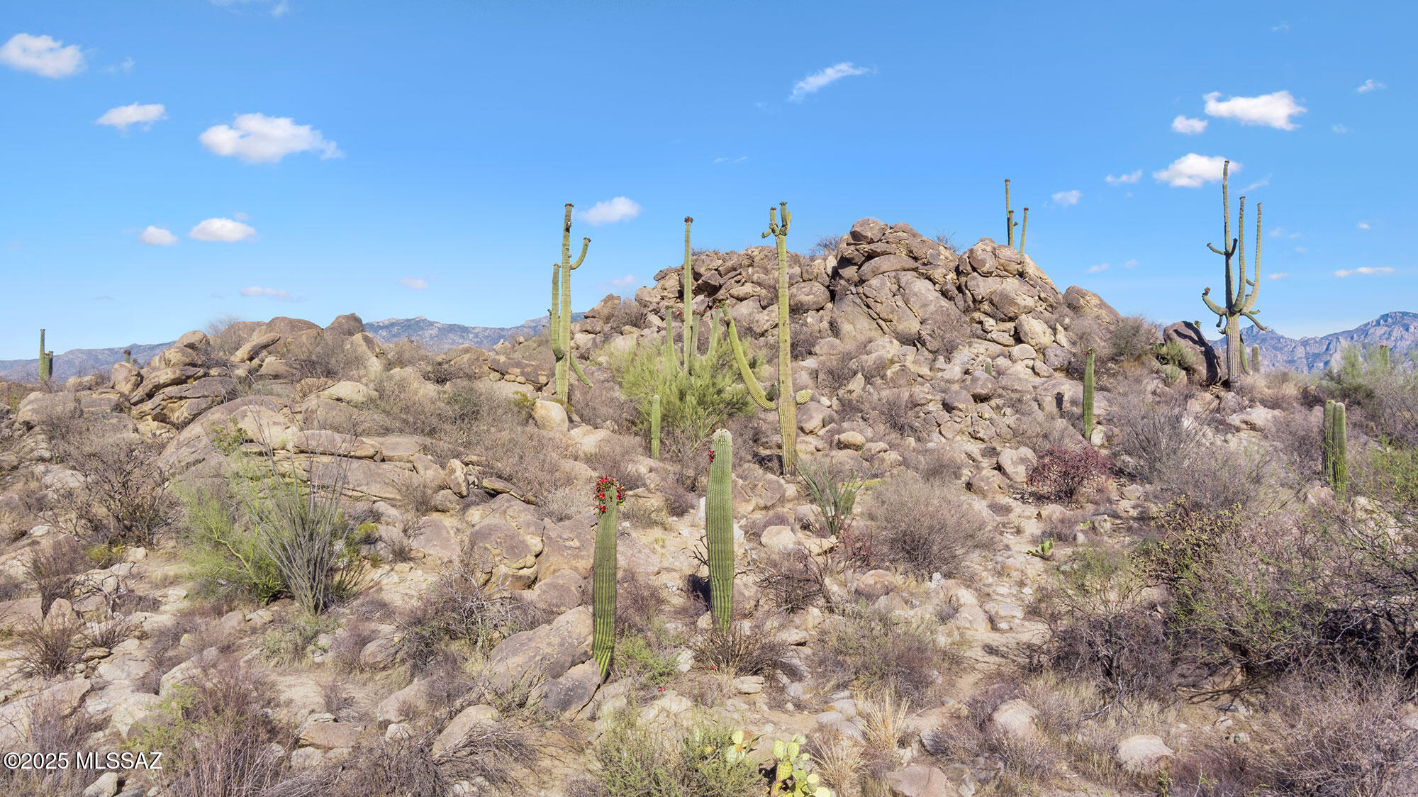 Stone Canyon VII (404-485) - Land