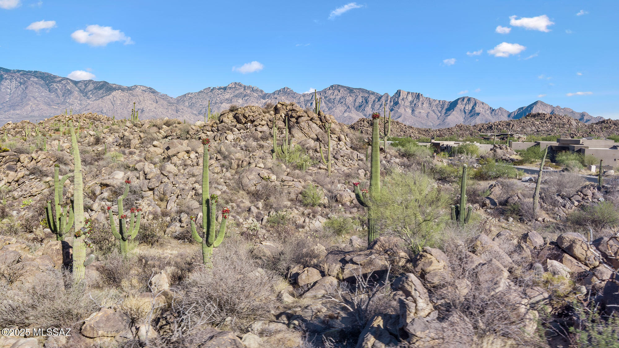 Imagine owning a canvas adorned with the most breathtaking frames nature can offer - expansive vistas of Southern Arizona's enchanting landscapes, the majestic Catalina & Tortolita mountains, majestic saguaros and rock formations. Our hand-picked lots have been meticulously chosen for their unbeatable views, eagerly awaiting the creation of a home that will seamlessly blend with this painted natural wonder.

ONEOak, is a seasoned custom builder, poised to bring your vision to life with a home tailored precisely to your desires. Expect nothing less than the finest in craftsmanship, premium materials, luxurious amenities, and exquisite finishes, all framed by uninterrupted views from every window.
ONEOak works with the best architects that the SouthWest has to offer.