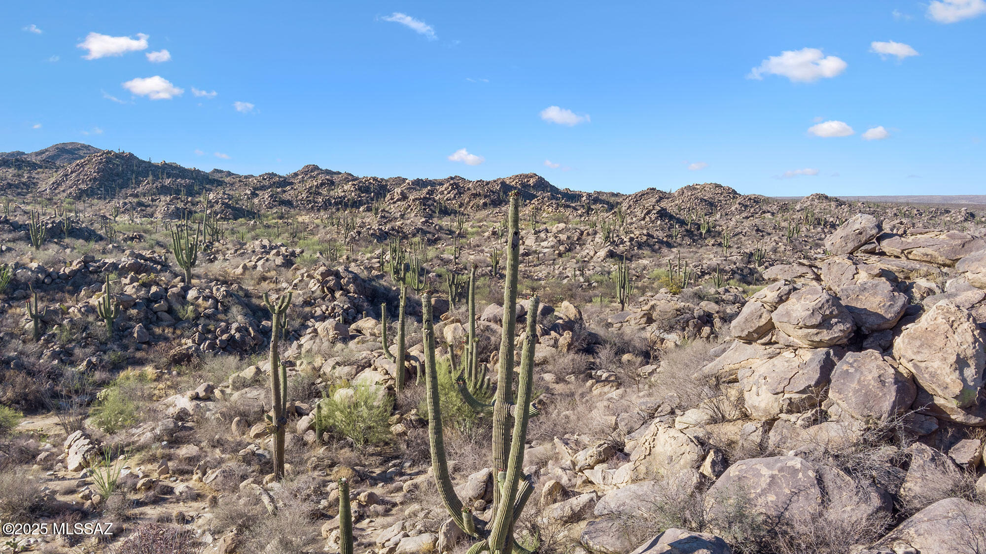 Stone Canyon VII (404-485) - Land