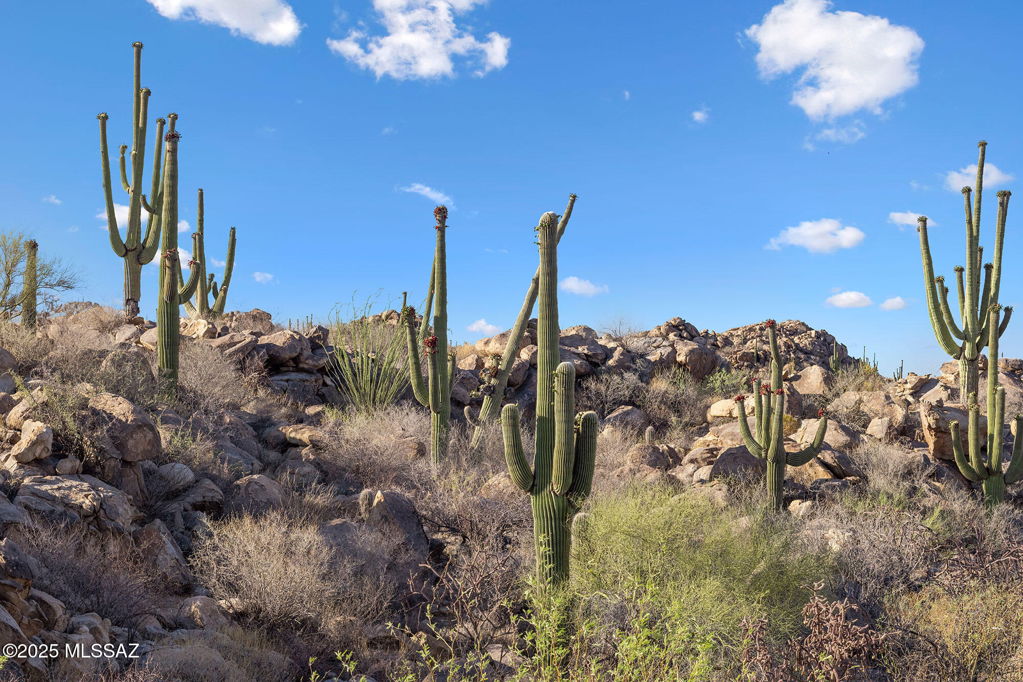 Stone Canyon VII (404-485) - Land