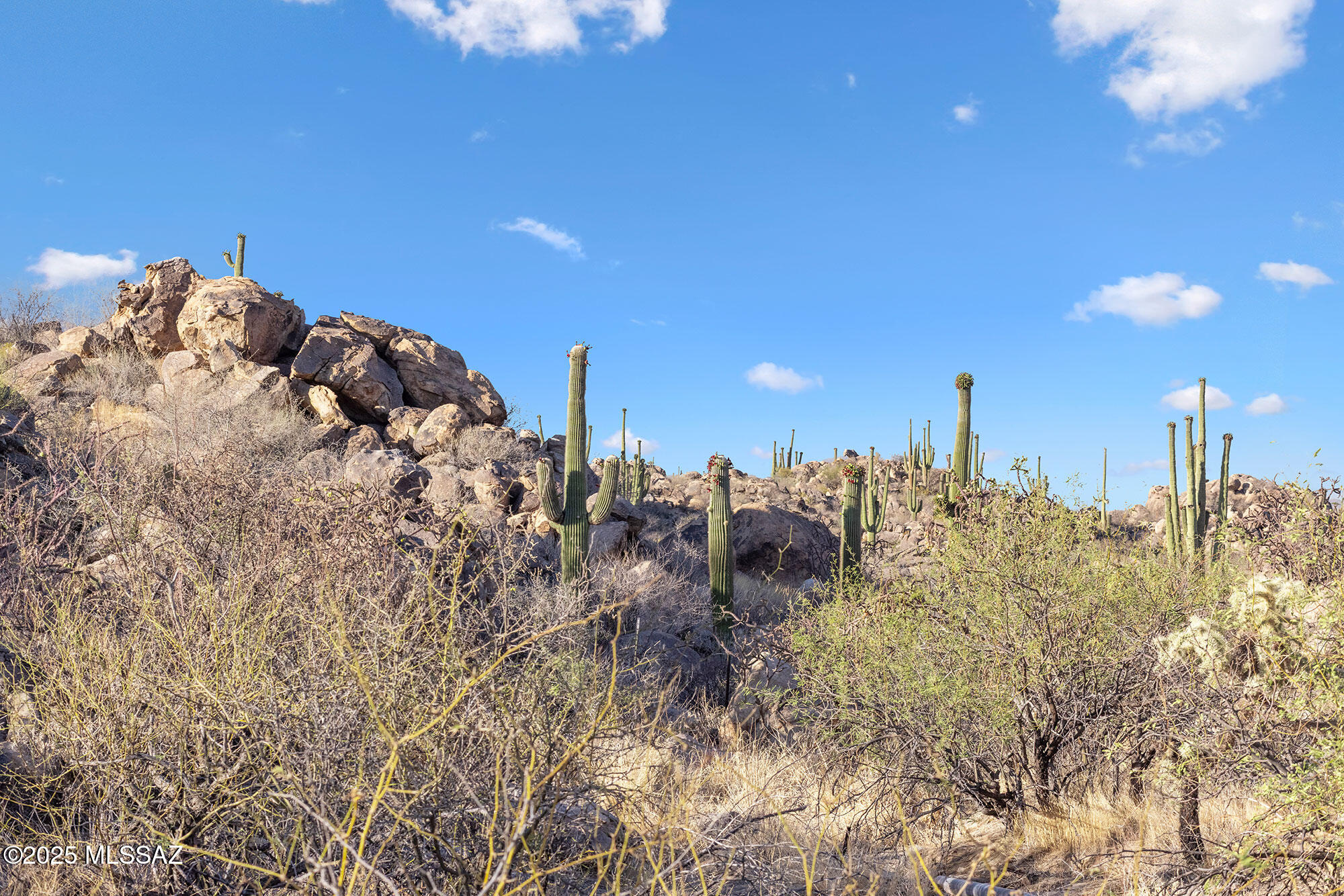 Stone Canyon VII (404-485) - Land