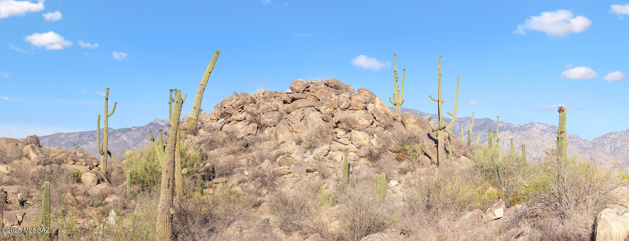 Stone Canyon VII (404-485) - Land