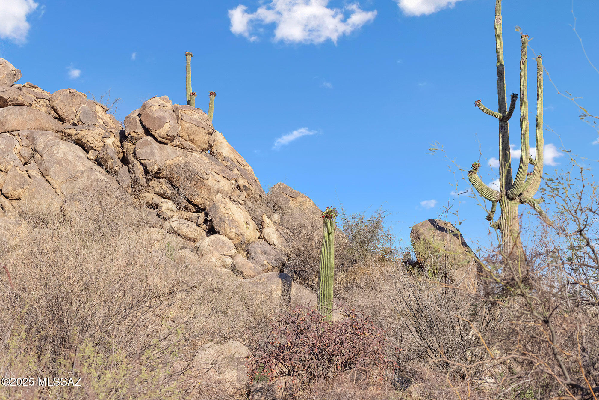 Stone Canyon VII (404-485) - Land