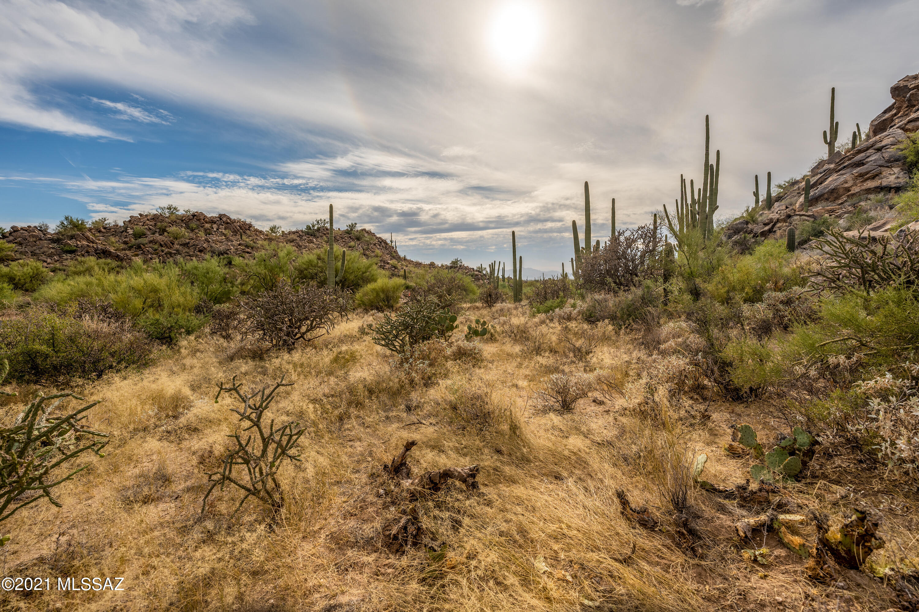 Stone Canyon II - Land