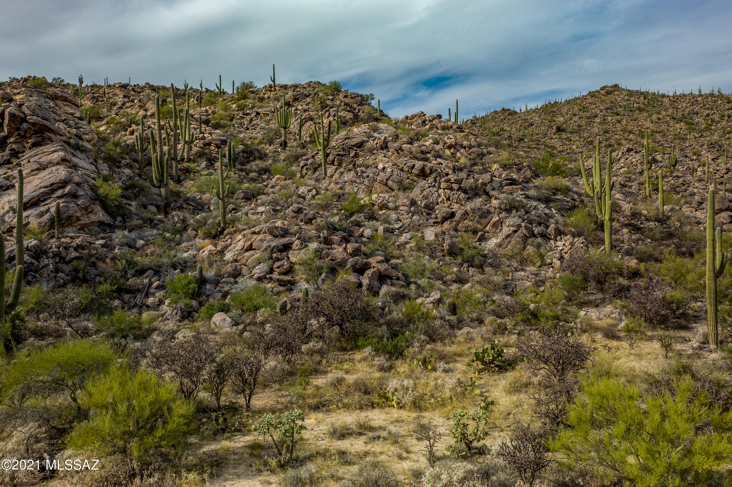 Stone Canyon II - Land
