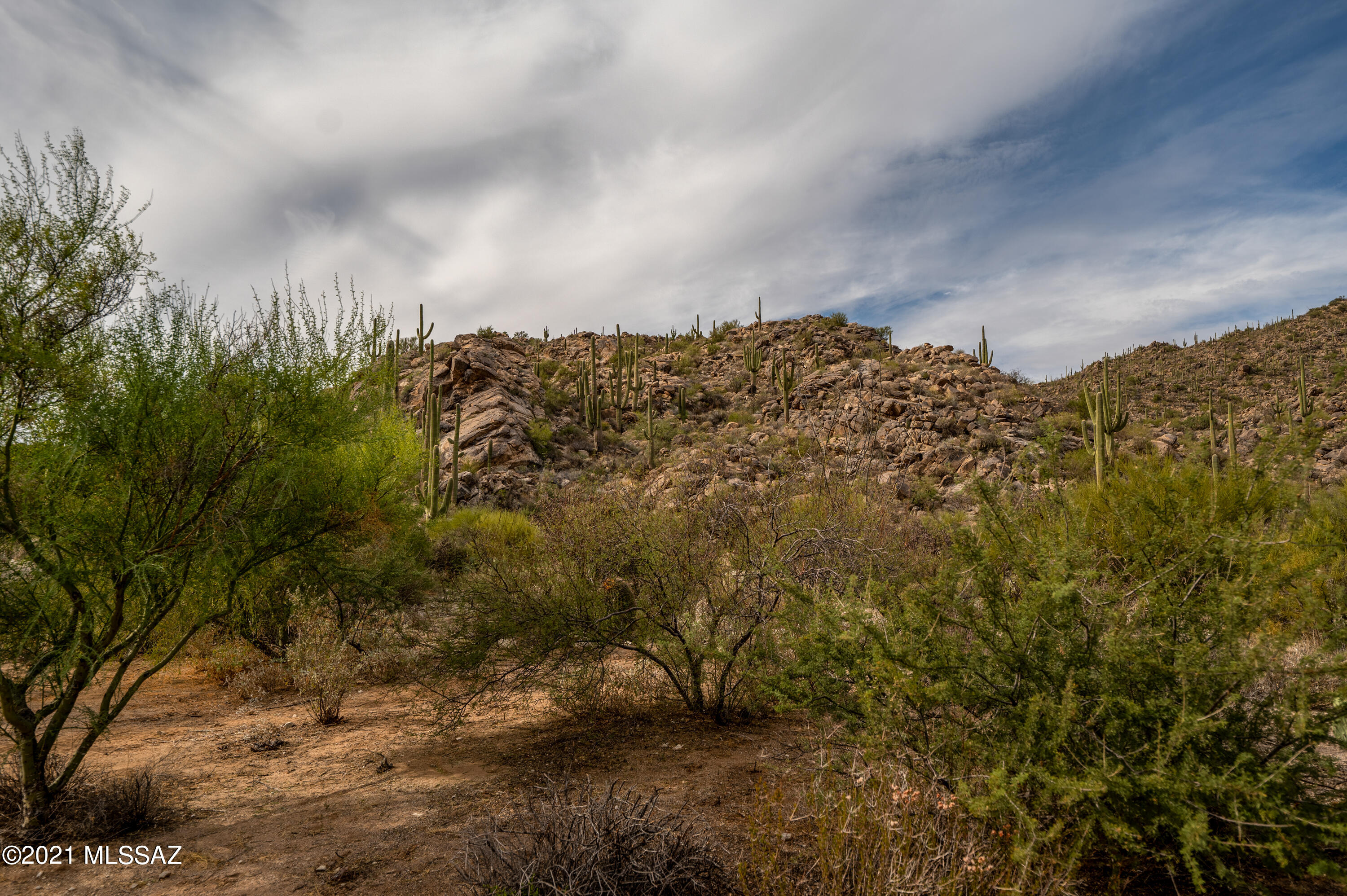 Stone Canyon II - Land