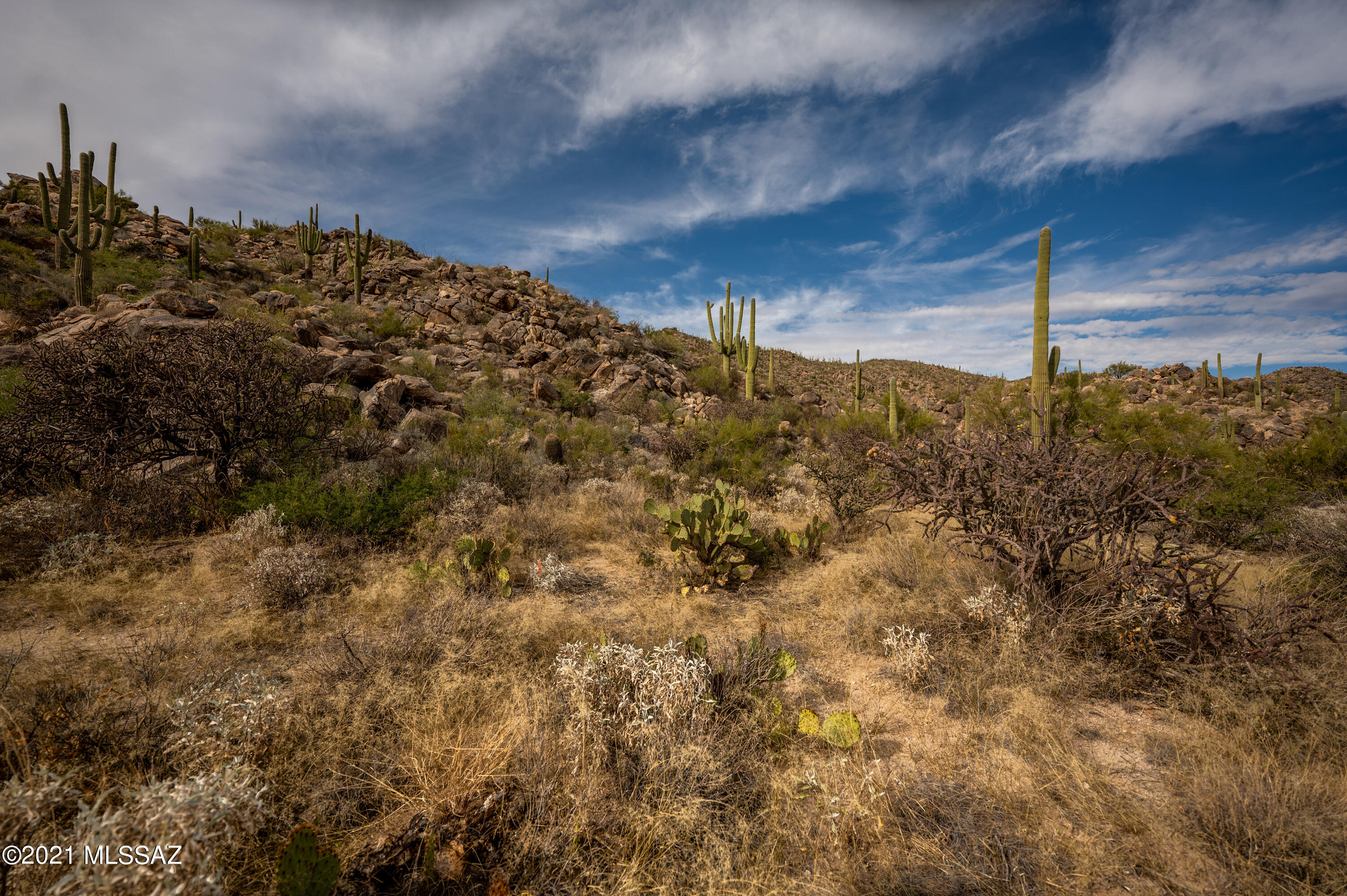 Stone Canyon II - Land