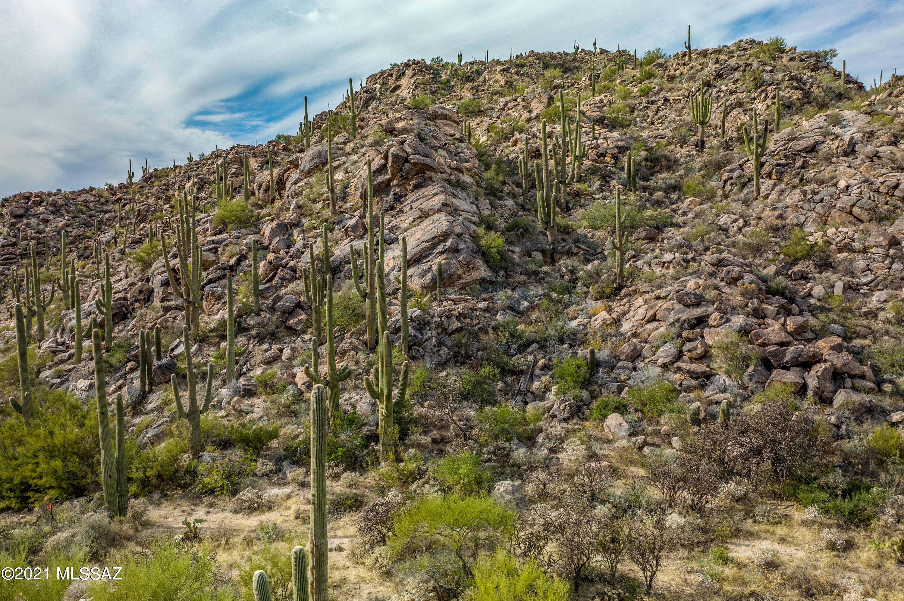 Stone Canyon II - Land