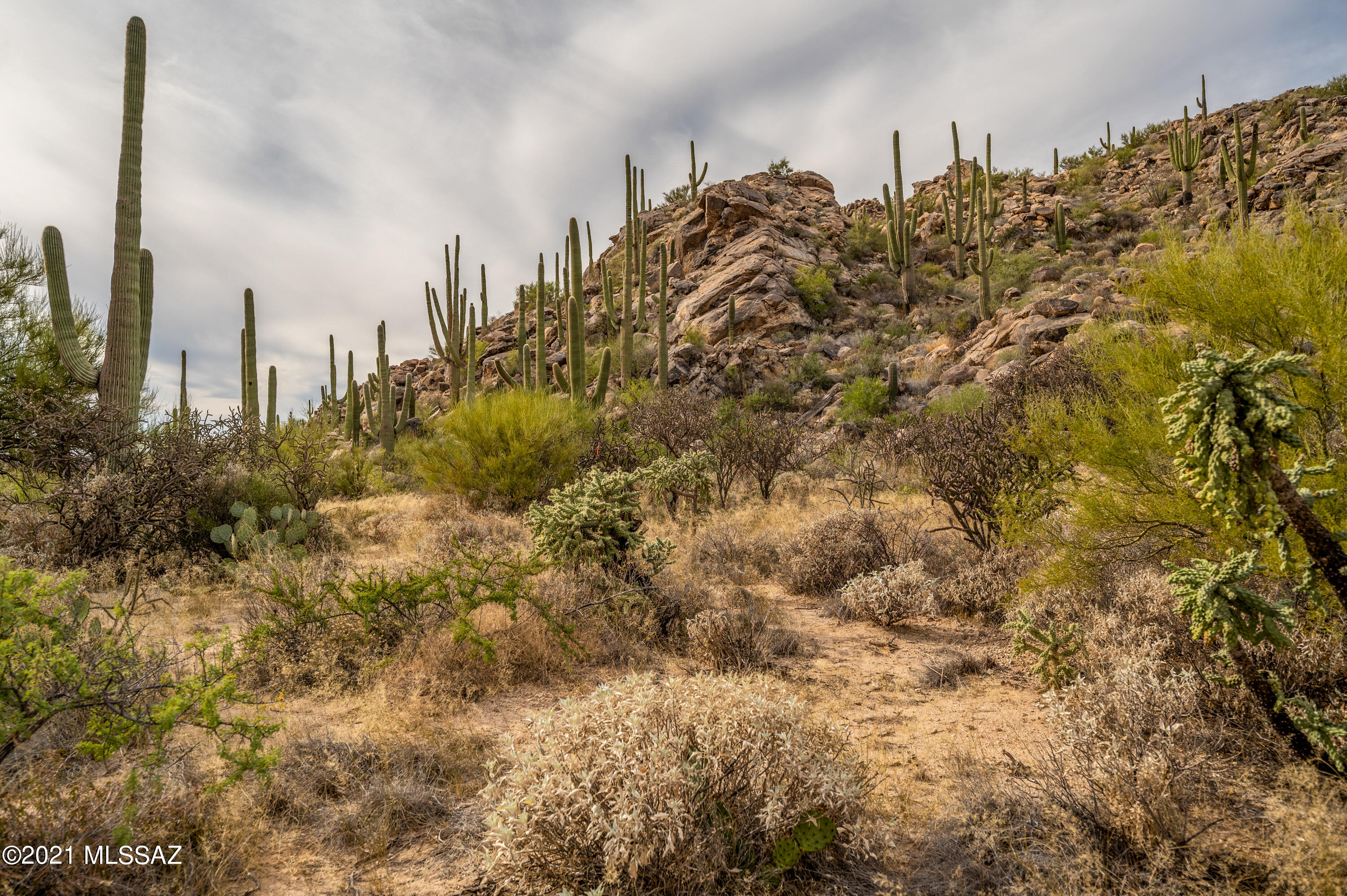 *Seller is agent/owner 
Jaw dropping views,  panoramic vistas, an easy build site accommodating for a large home makes for an absolute must see! Towering majestic mountain ranges, a vast array of unique boulder outcropping formation rising from the desert floor. A magnificent vista of the Catalina Mountain Range that can be viewed from the NE to the South, and to add to the value of this special lot, directly across the street is deeded common area that will remain beautiful undisturbed desert.  In addition, the North end of the lot outside the building envelope has a breathtaking mountain backdrop.  Picture your home encapsulated in all of Mother Nature's wonders. Stone Canyon Continuously Ranks among the best courses and most scenic in the country. Amenities include a Championship Golf Course and gorgeous community Swim, Tennis and Health Club. Membership Requirements - ask for details.