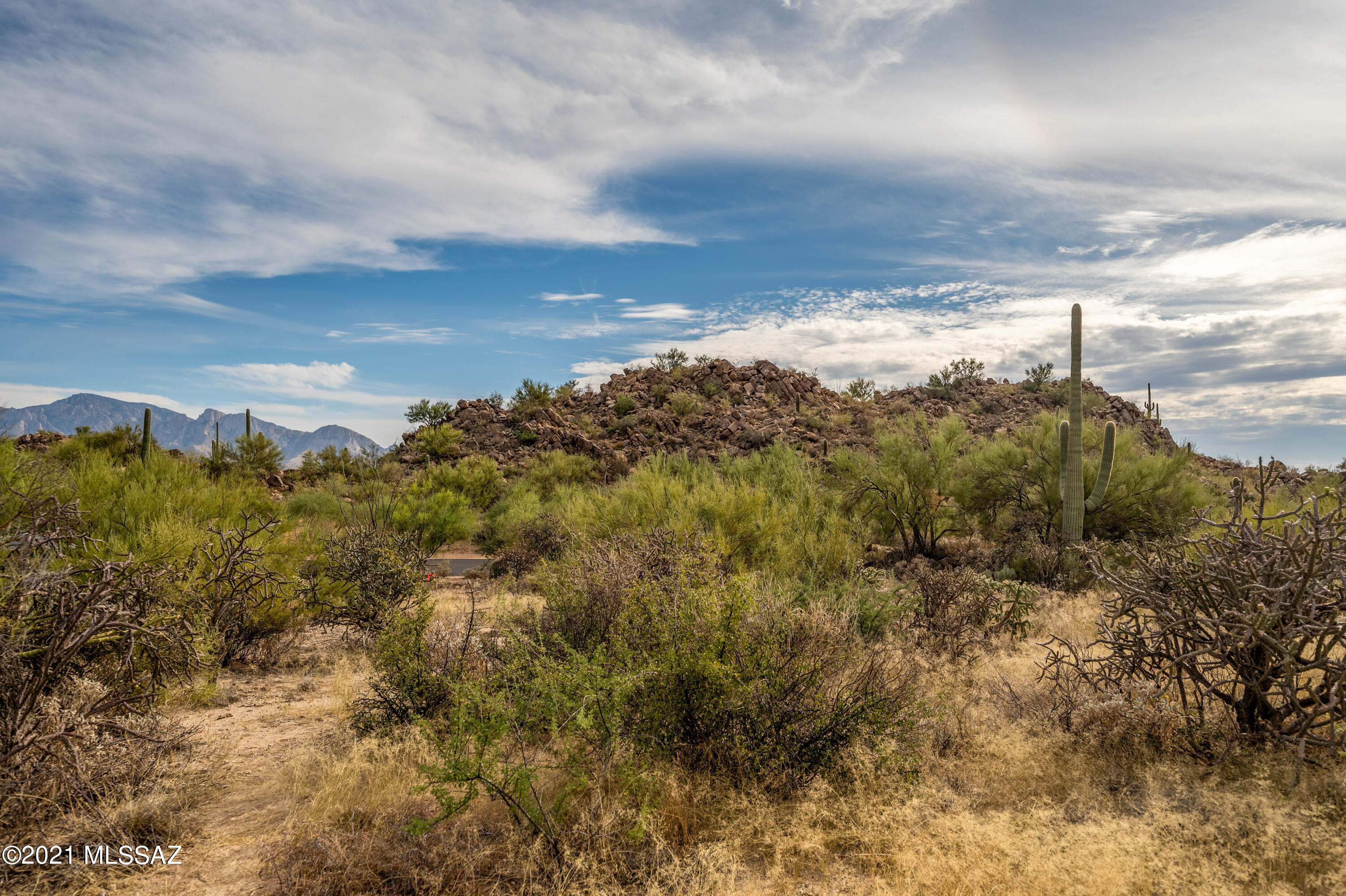 Stone Canyon II - Land