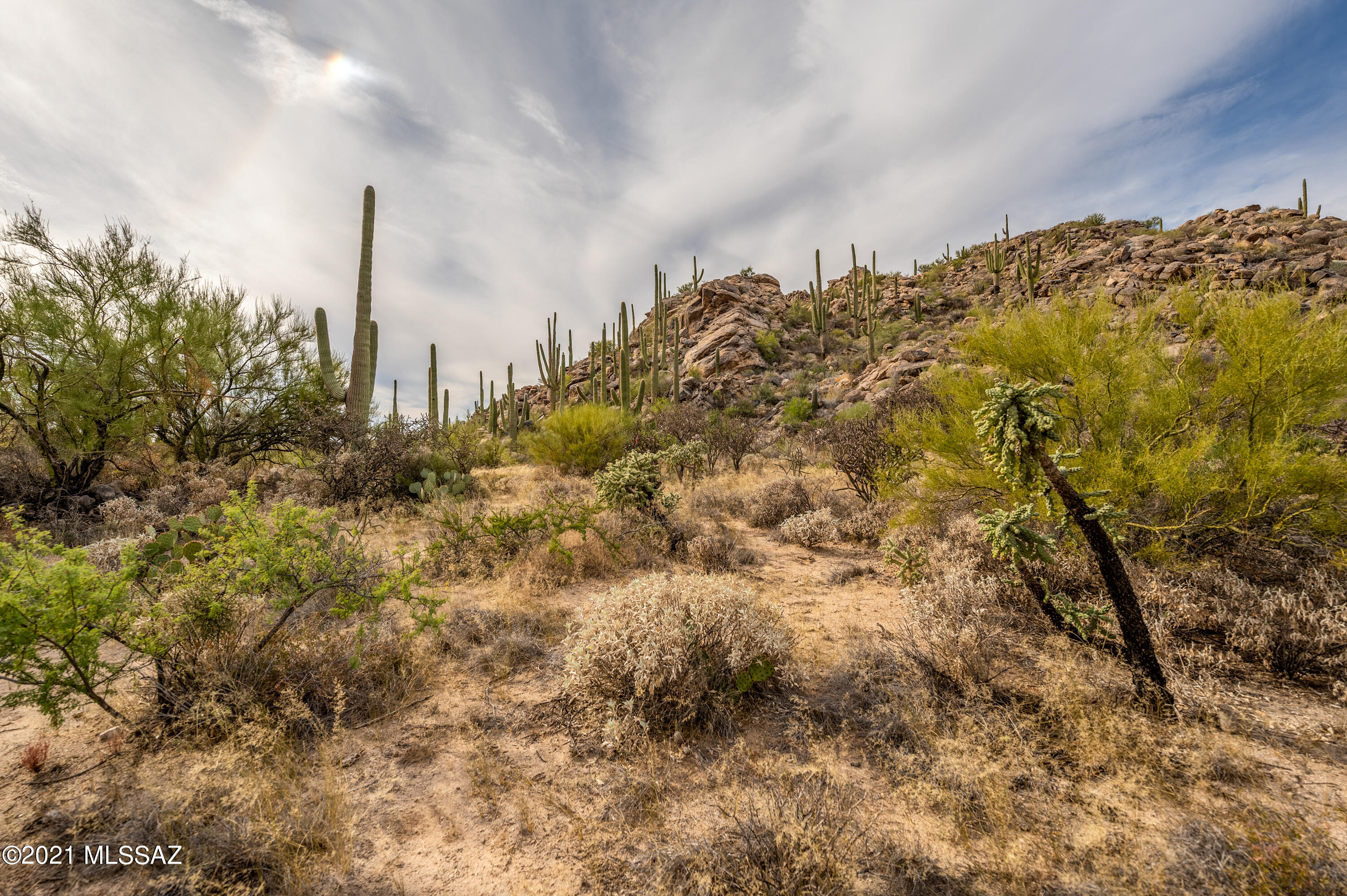 Stone Canyon II - Land