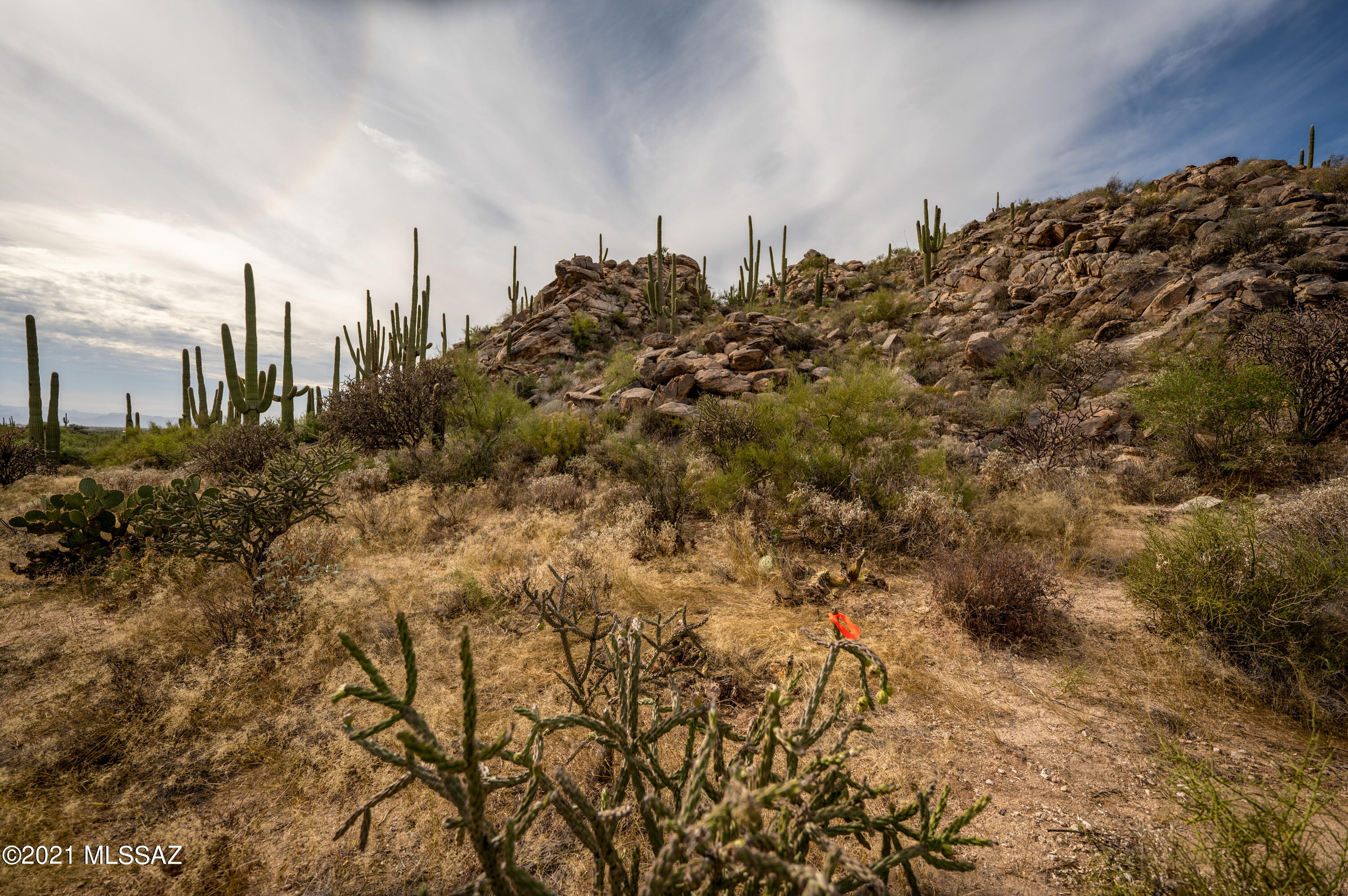 Stone Canyon II - Land