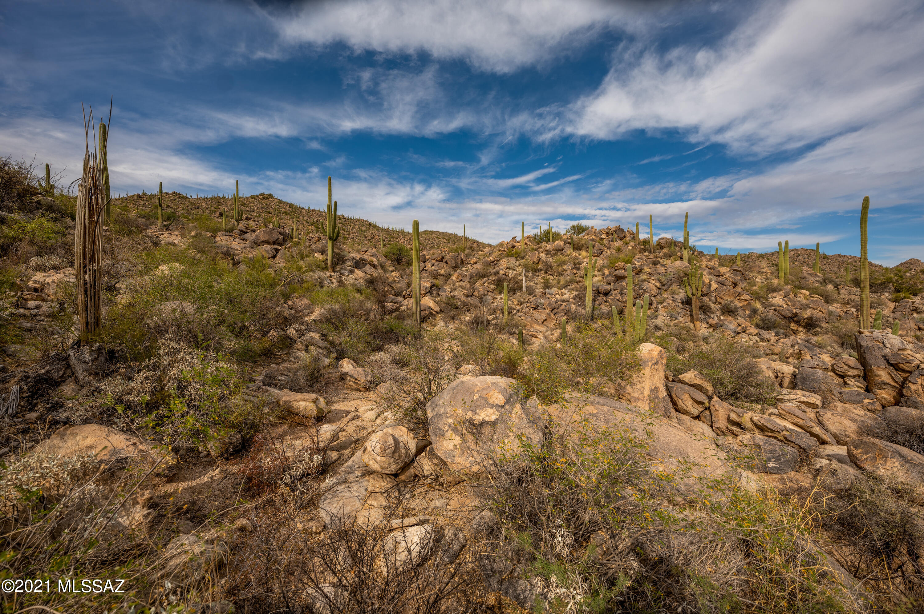 Stone Canyon II - Land