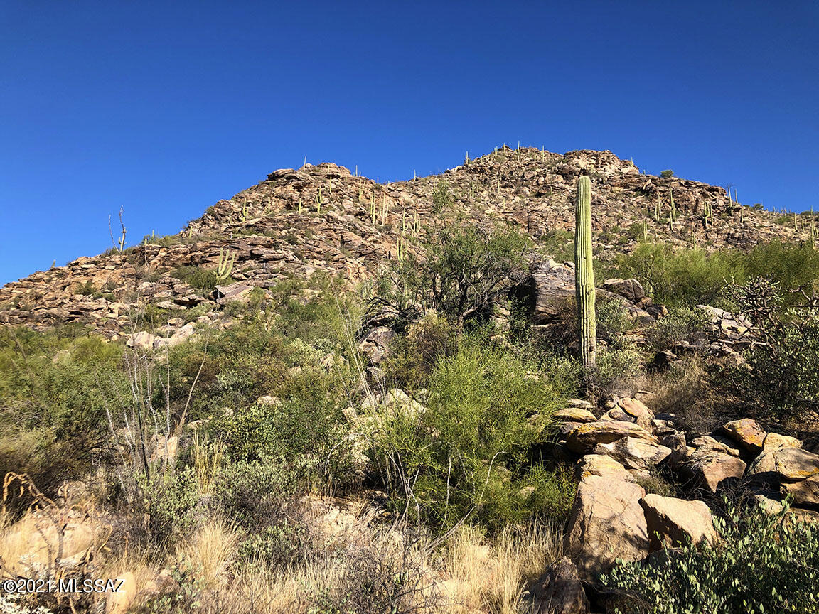 Canyon Pass At Dove Mountain(1-48) - Land