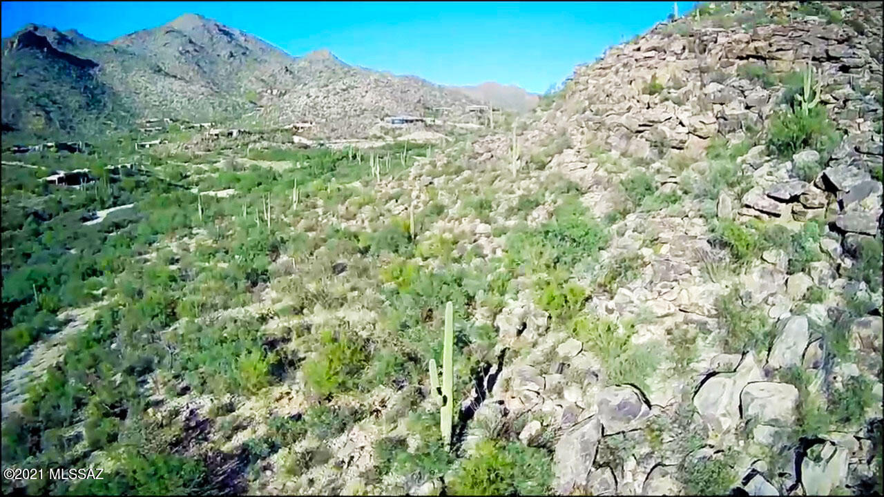 Canyon Pass At Dove Mountain(1-48) - Land