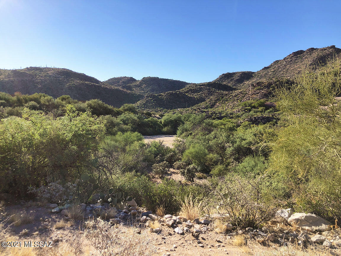 Canyon Pass At Dove Mountain(1-48) - Land