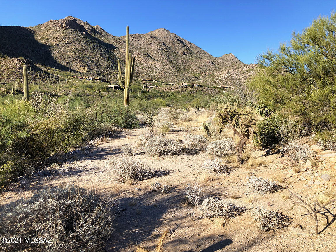 Canyon Pass At Dove Mountain(1-48) - Land
