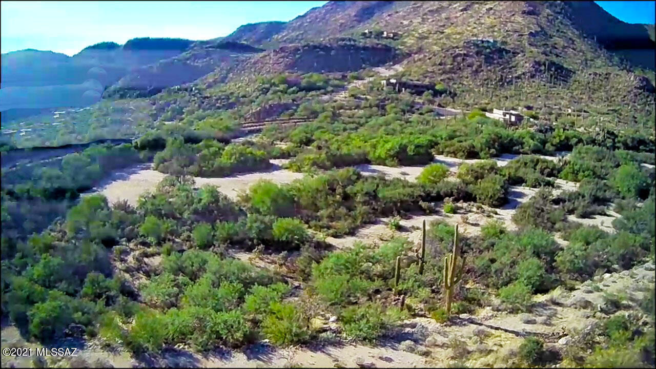 Canyon Pass At Dove Mountain(1-48) - Land