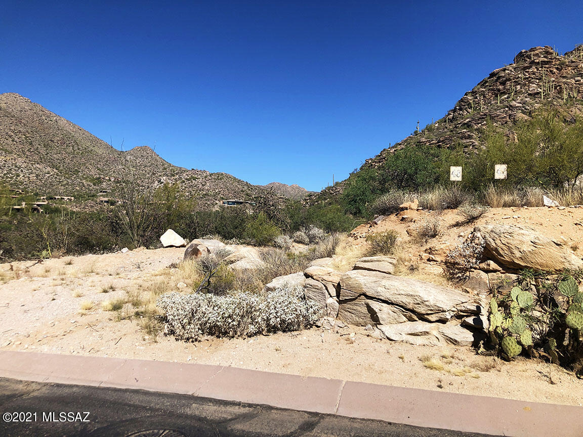 Canyon Pass At Dove Mountain(1-48) - Land