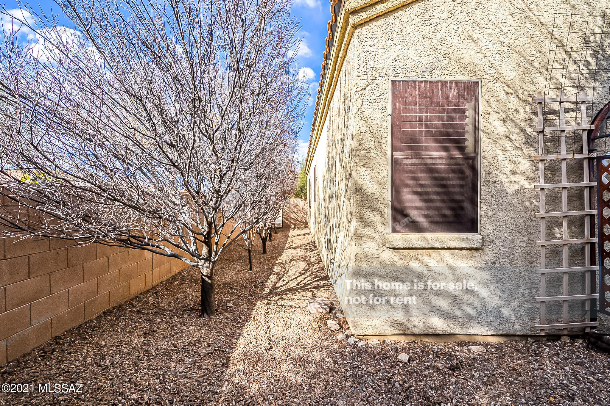 Star Valley Blk. 10 (1-228) - Residential
